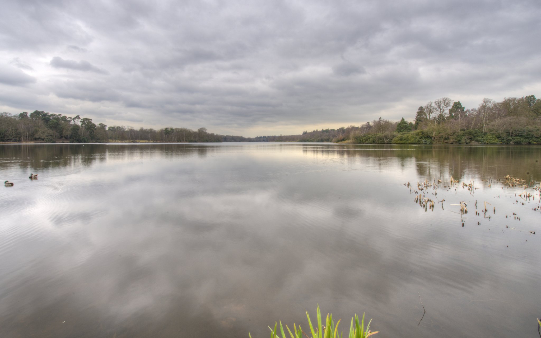 2013_04_09_GNI_Virginia_Water_Lake_View-2_S