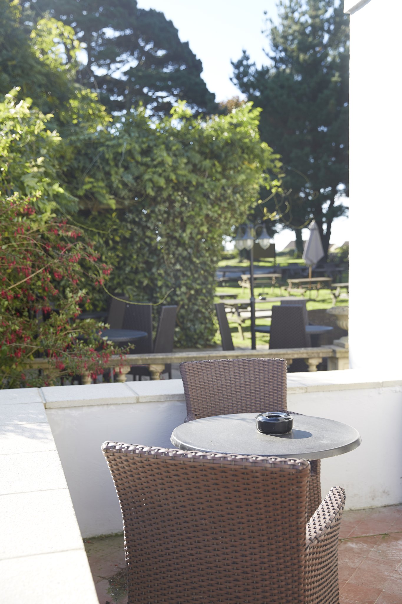 Cedars_Refurb_table_looking_onto_garden_S