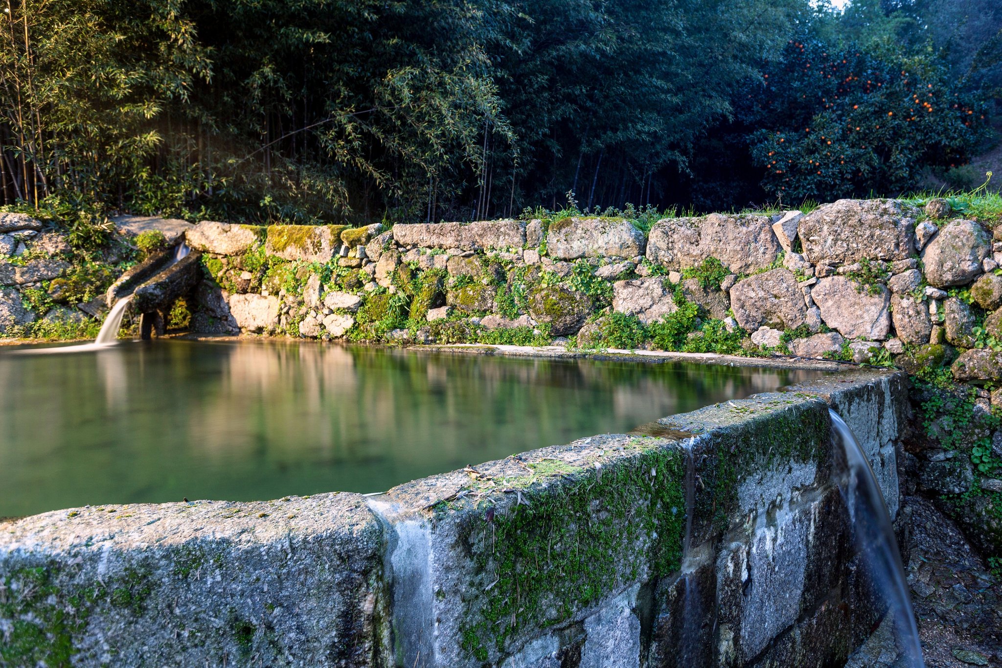 Douro_Palace_Area_Exterior_11_S