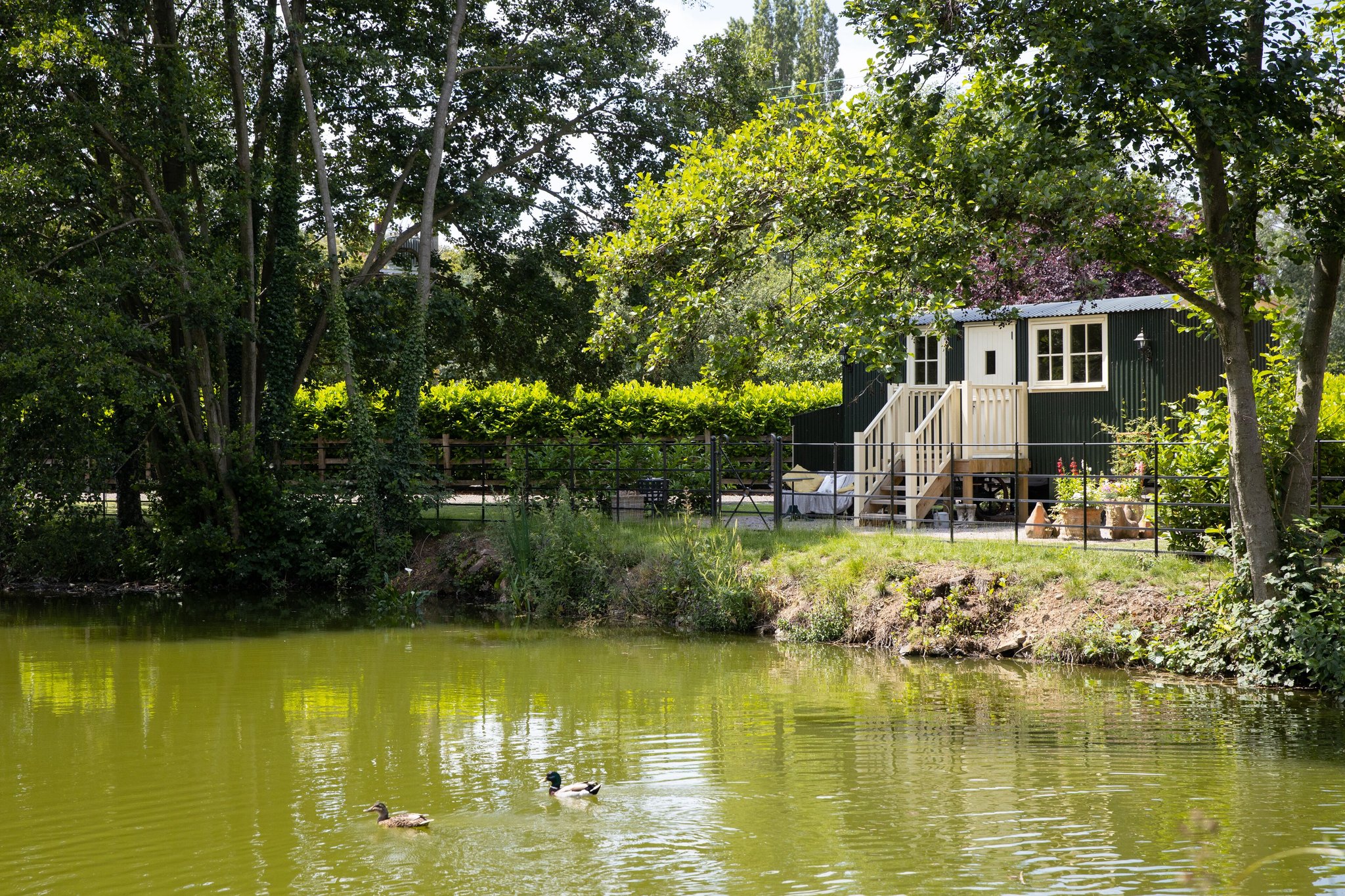 The_Shepherds_Hut1_S