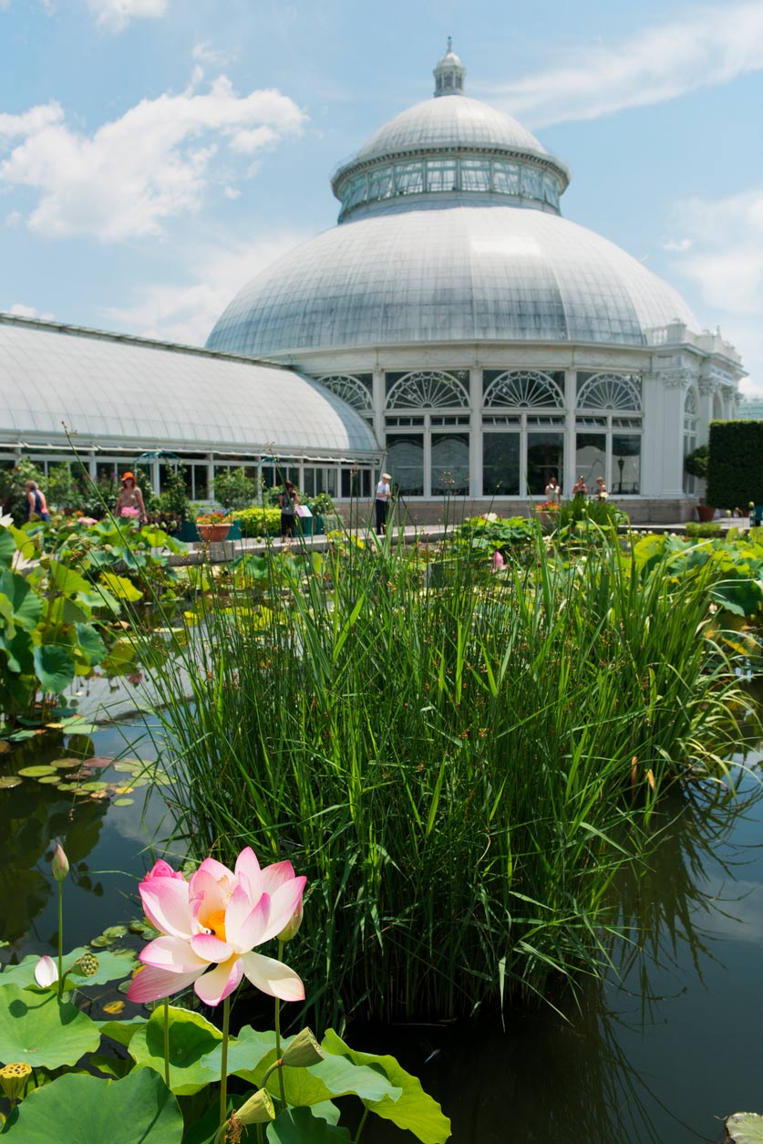 NYC-Botanical-Garden-New-York-Best-Loved-Hotels