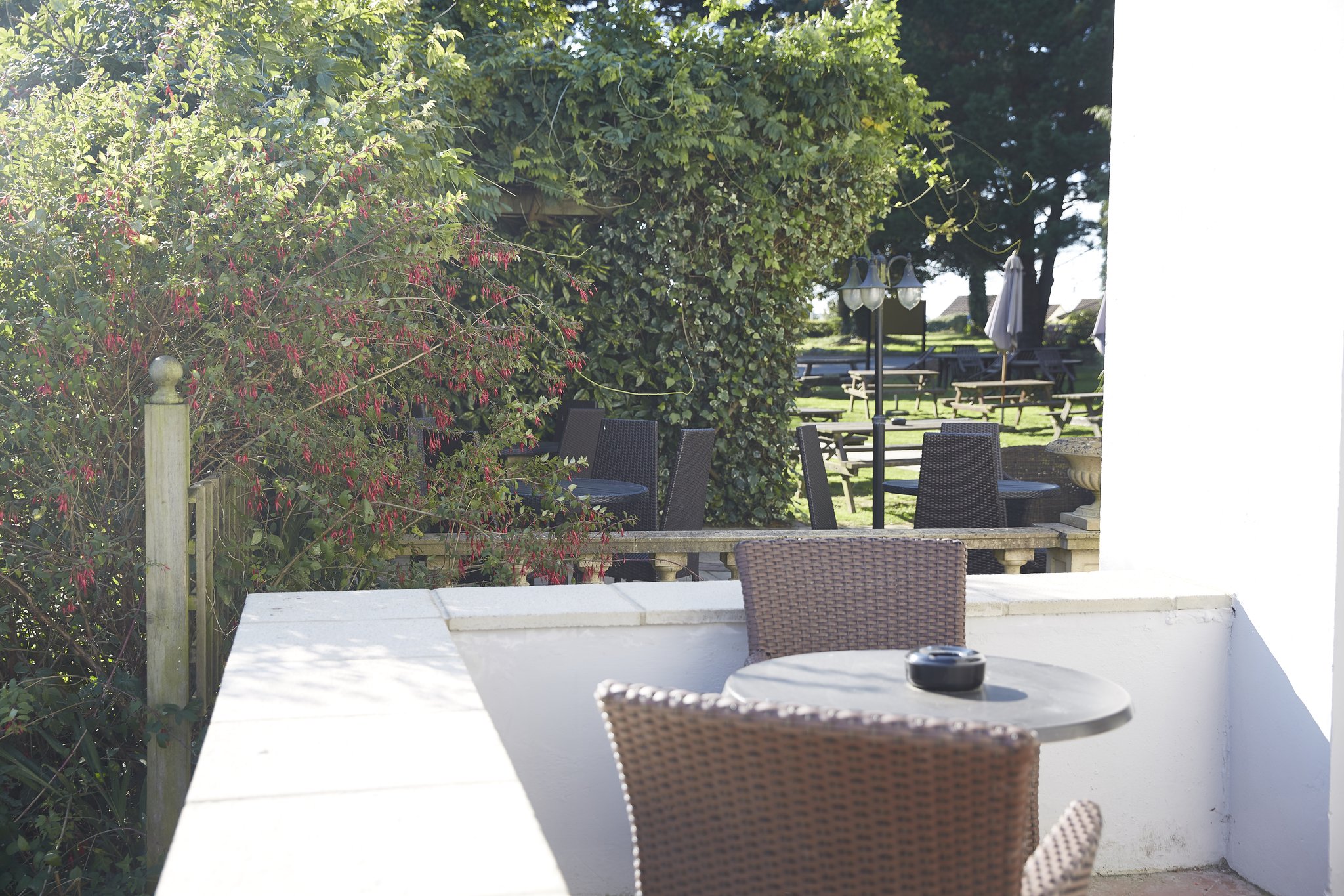 Cedars_Refurb_table_overlooking_garden_2_S