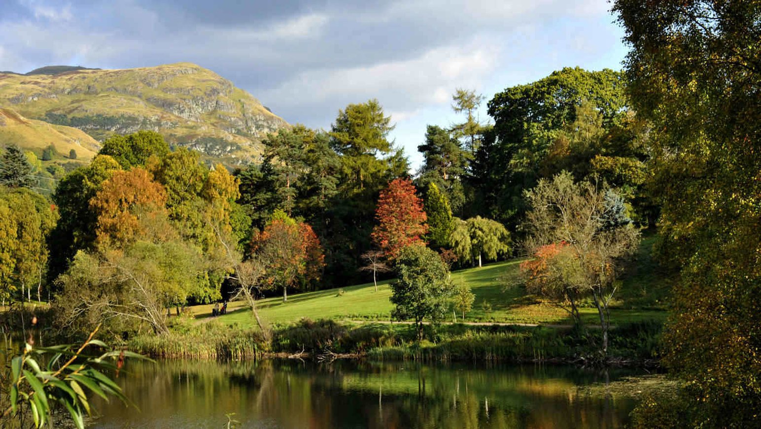 Local_Attractions_S