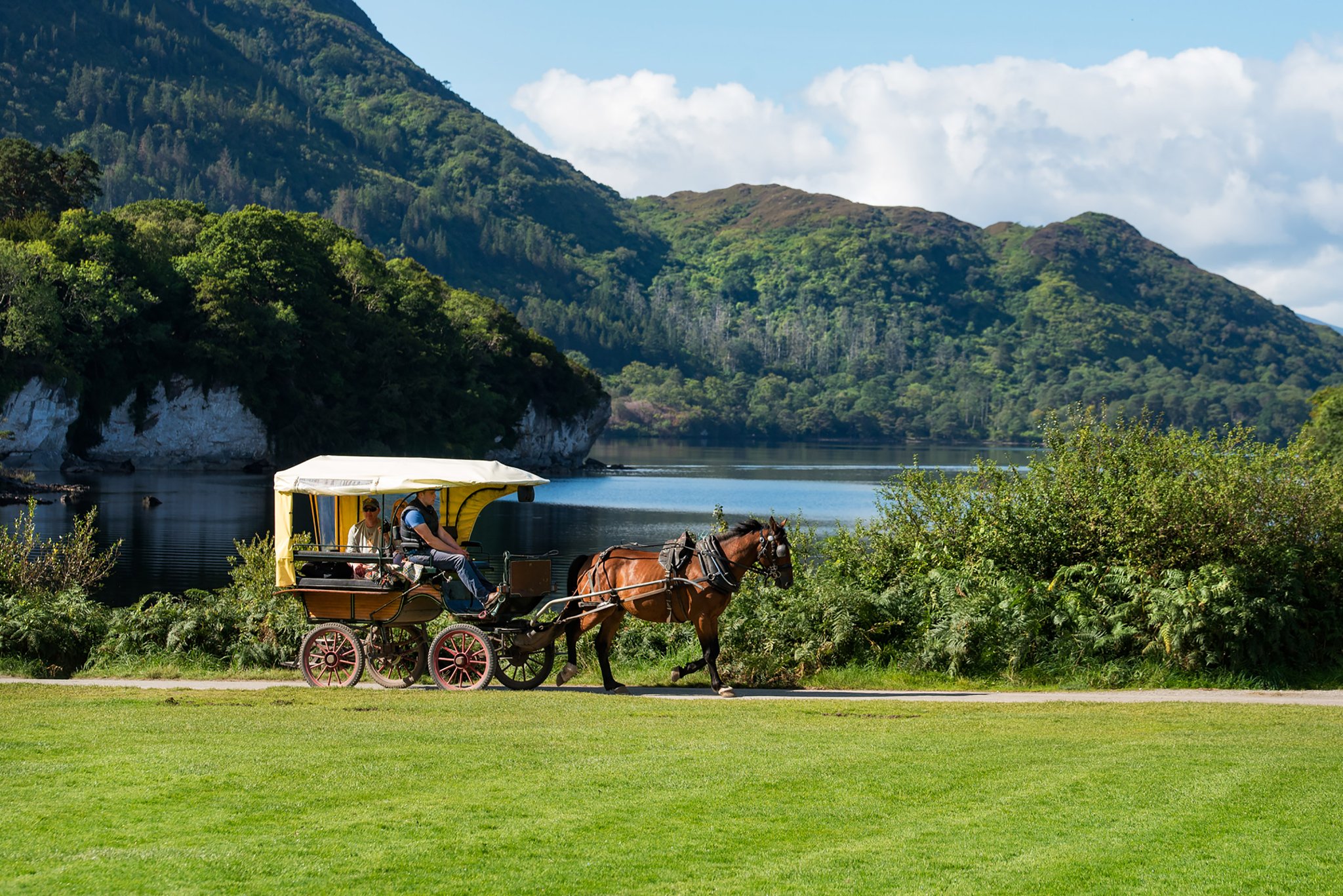 Jaunting_cart_around_muckross_S