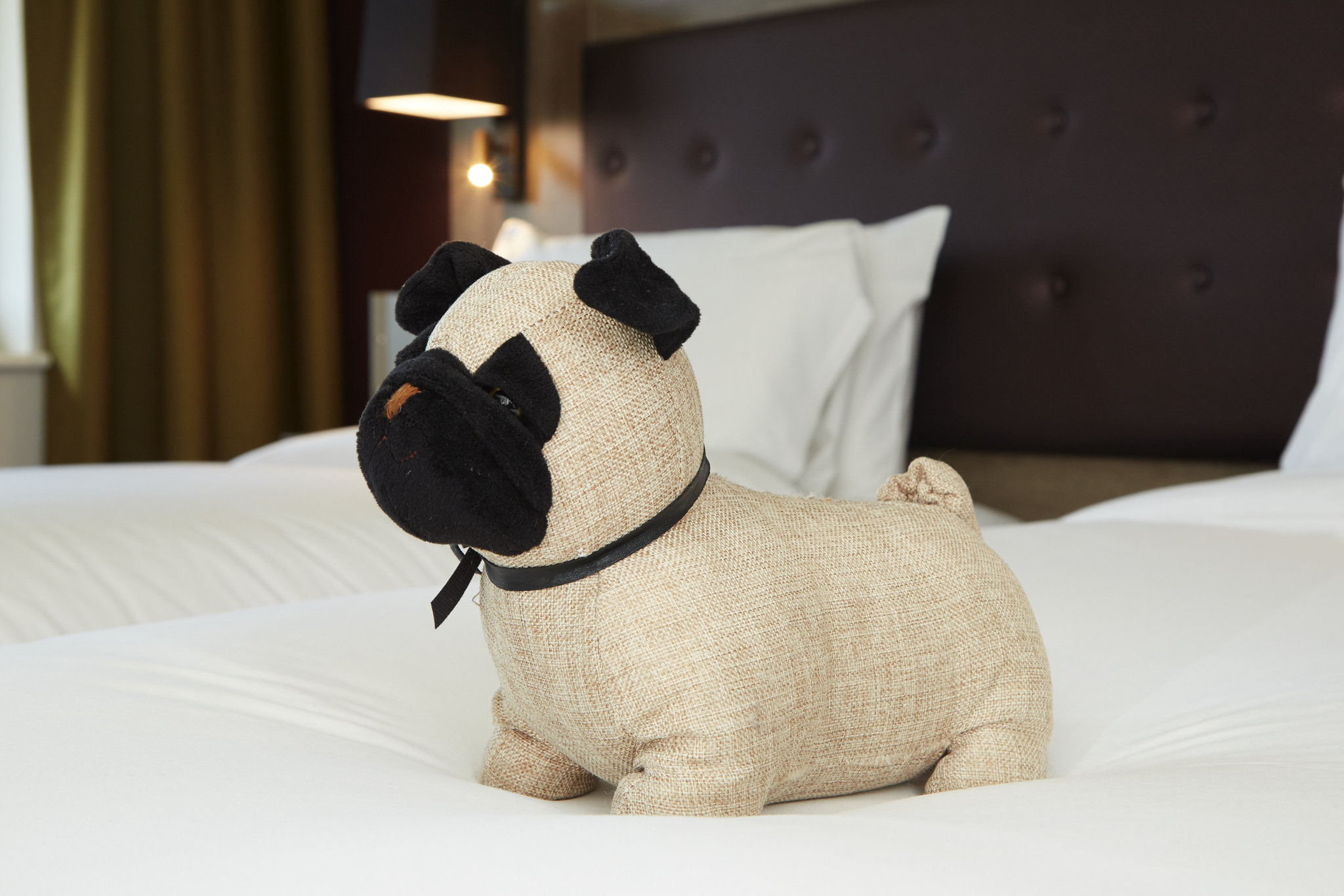 Room_201_Pug_on_bed_S