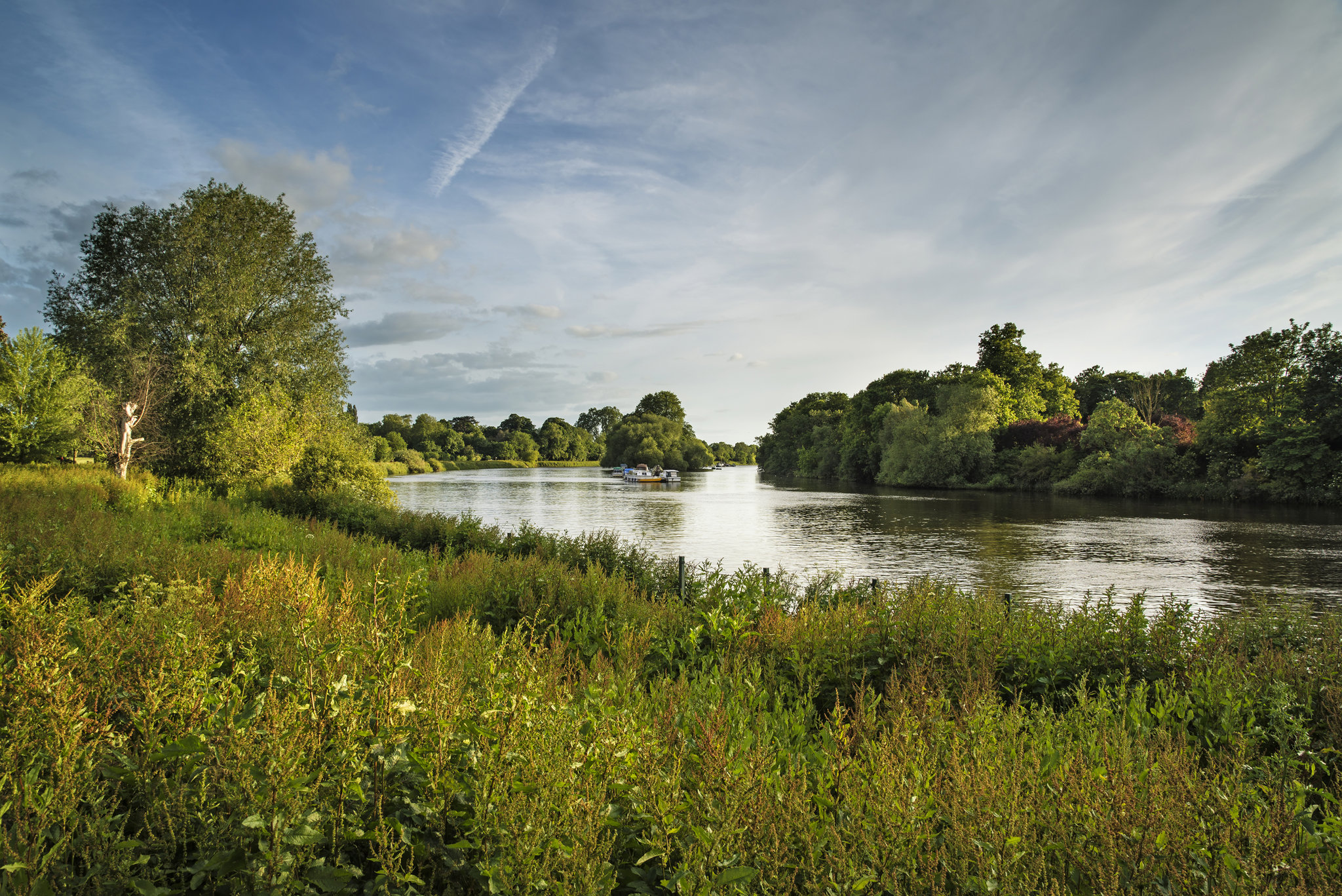 The_River_Thames_at_Richmond_S