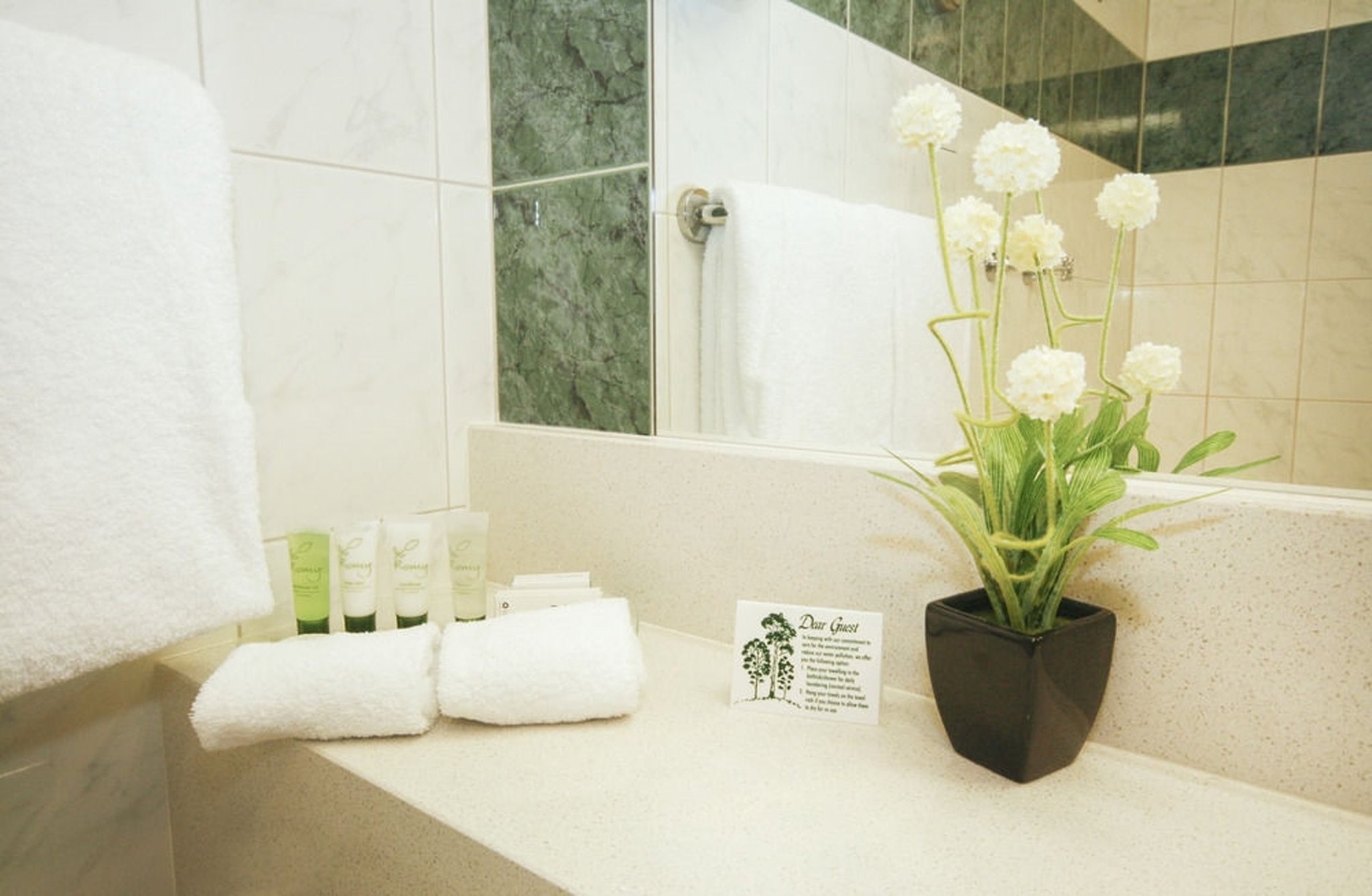 Standard__Double_Room_Bathroom_Amenities_S