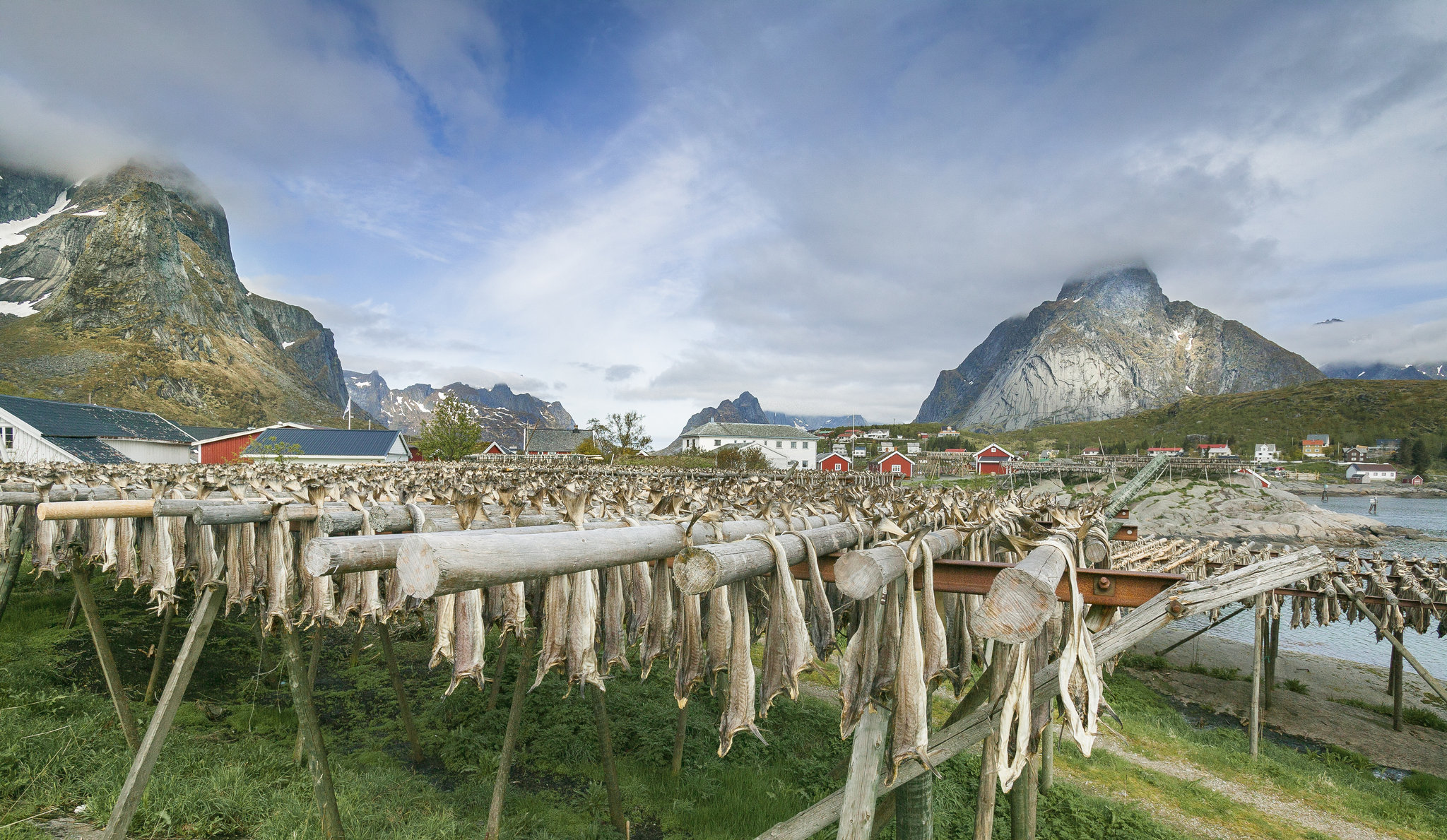 17186_stockfish-at-Lofoten-gettyImages-1185270881_S