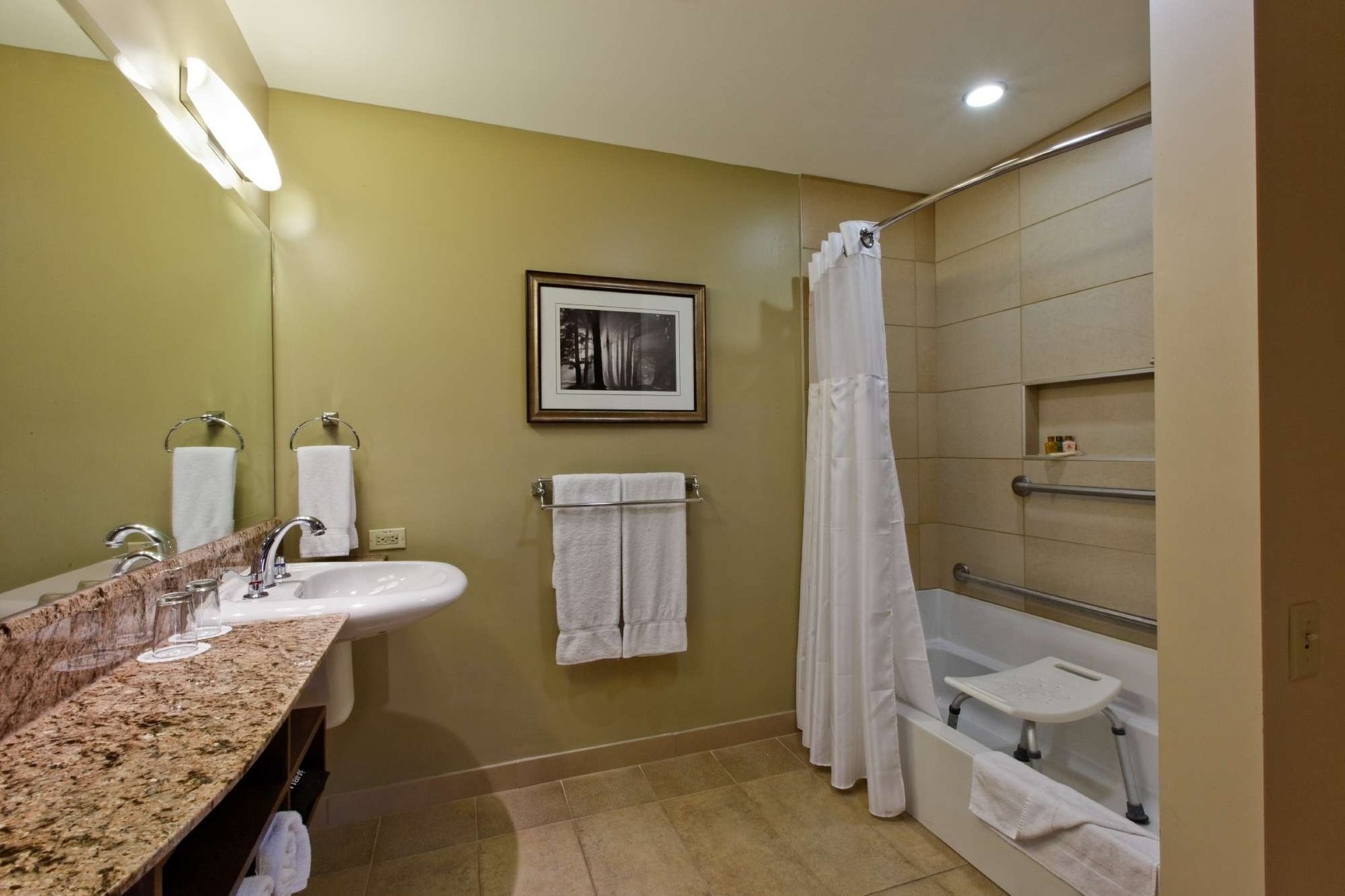 Accessible_Urban_Suite_One_King_Bed_Bathroom_S