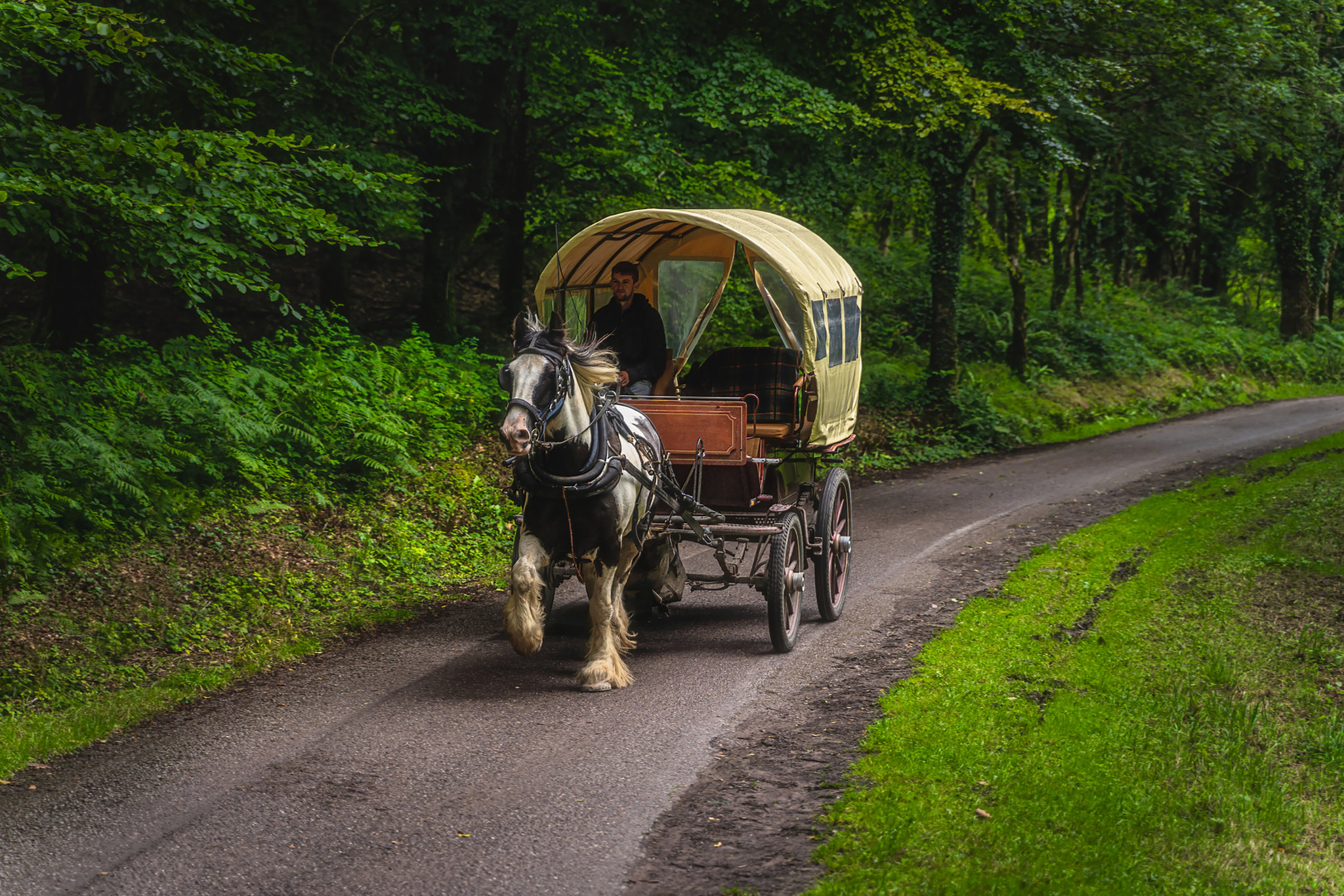 Jaunting_Cars_Killarney_S