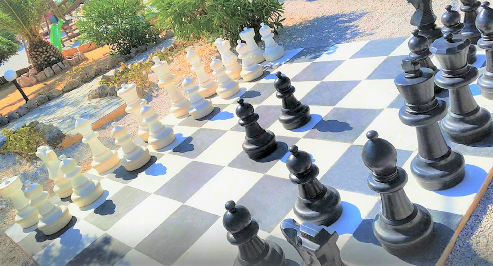 48_Chess_S