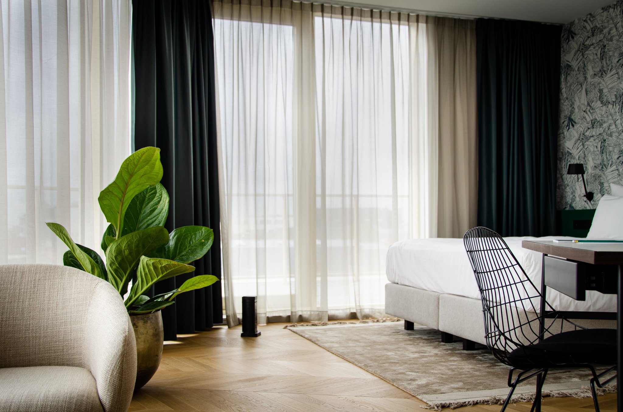Suite_for_the_treat_S