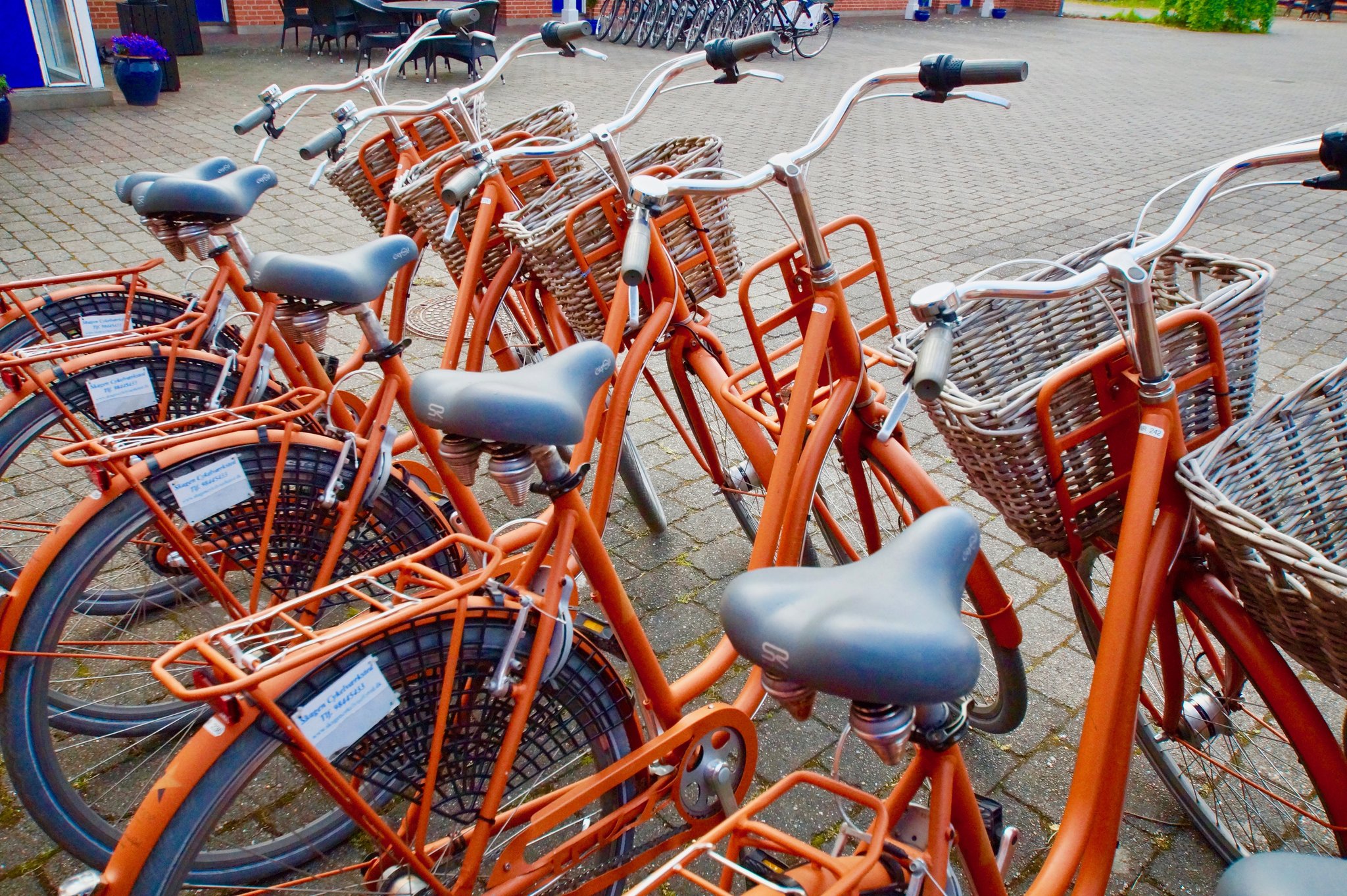 19099_rented-bicycle-at-skagen-motel-first-partner-collec_S