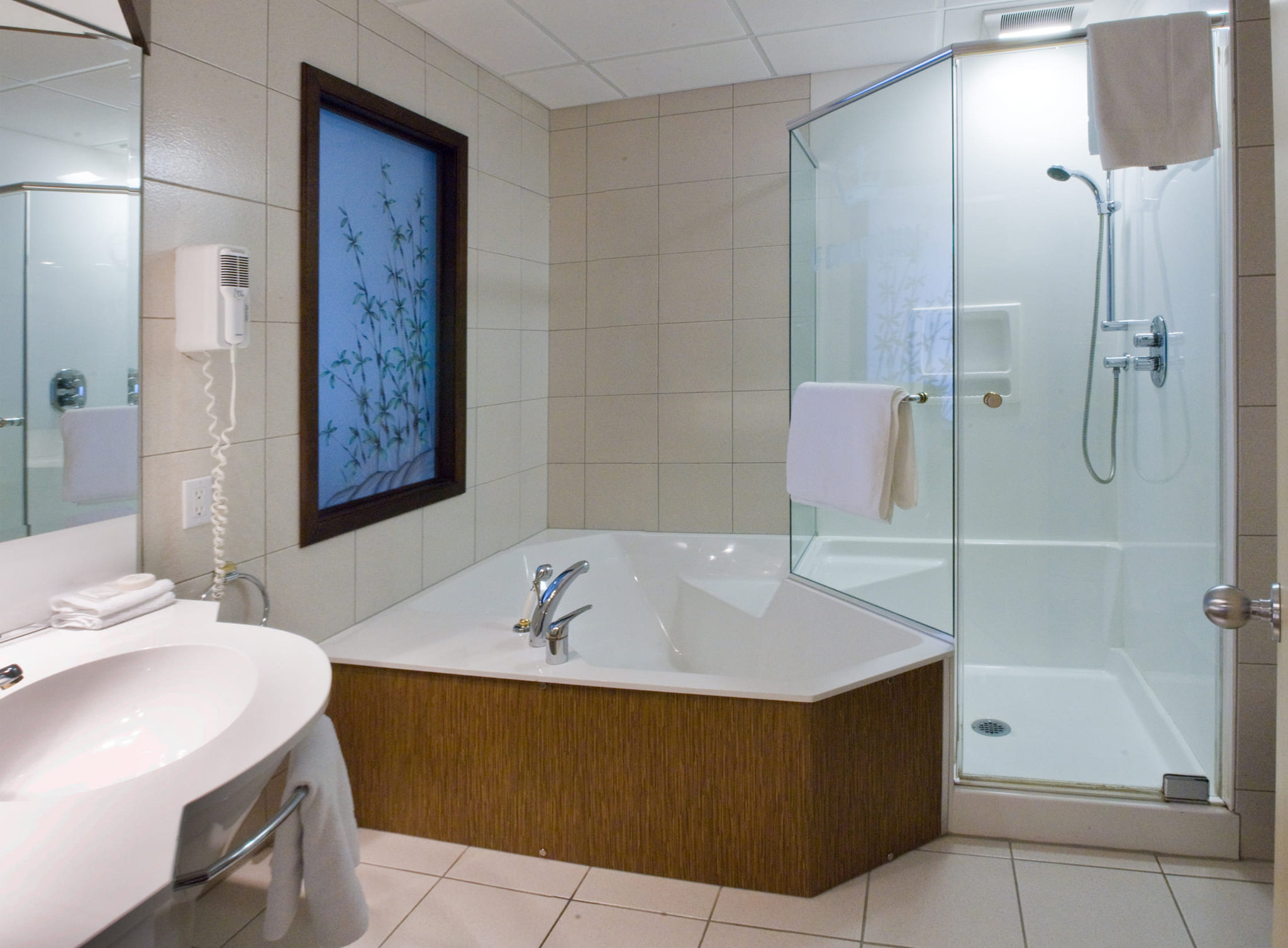 Executive_Suite_Bathroom_S