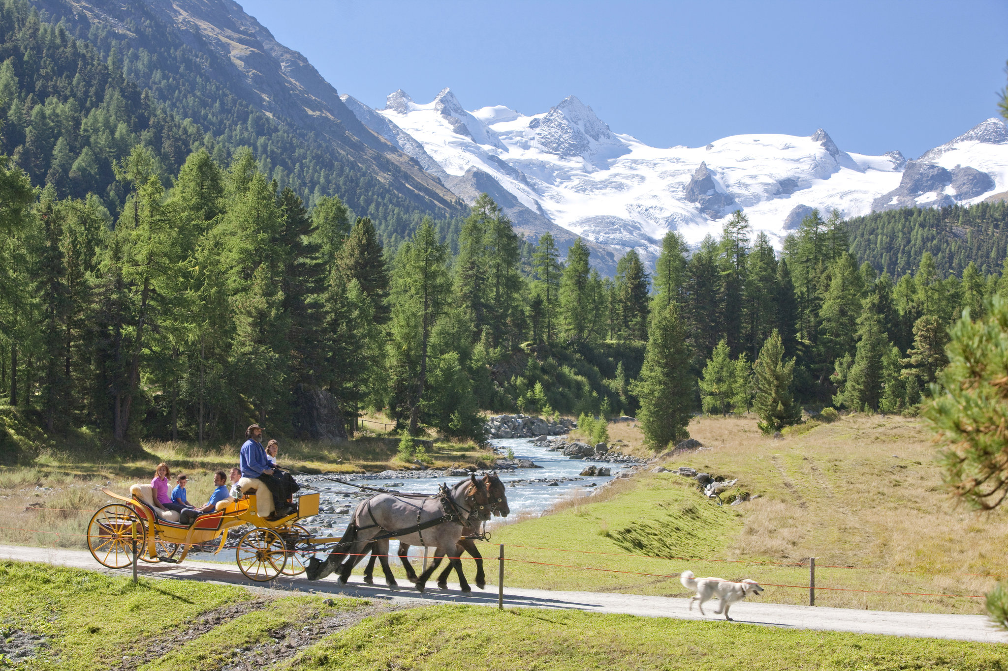 Horse_Carriage_Ride_S