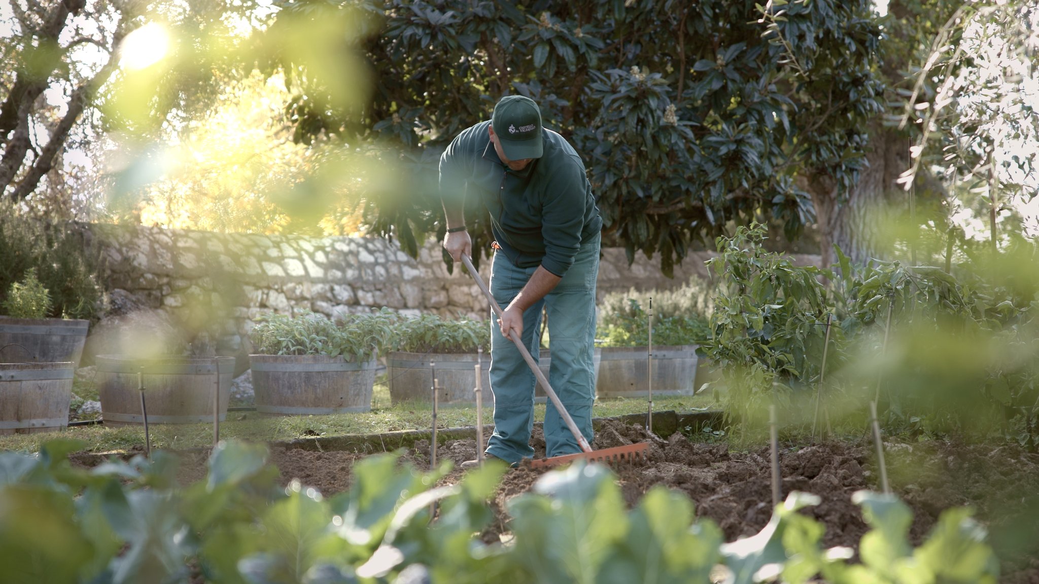 Vegetable_Garden_S