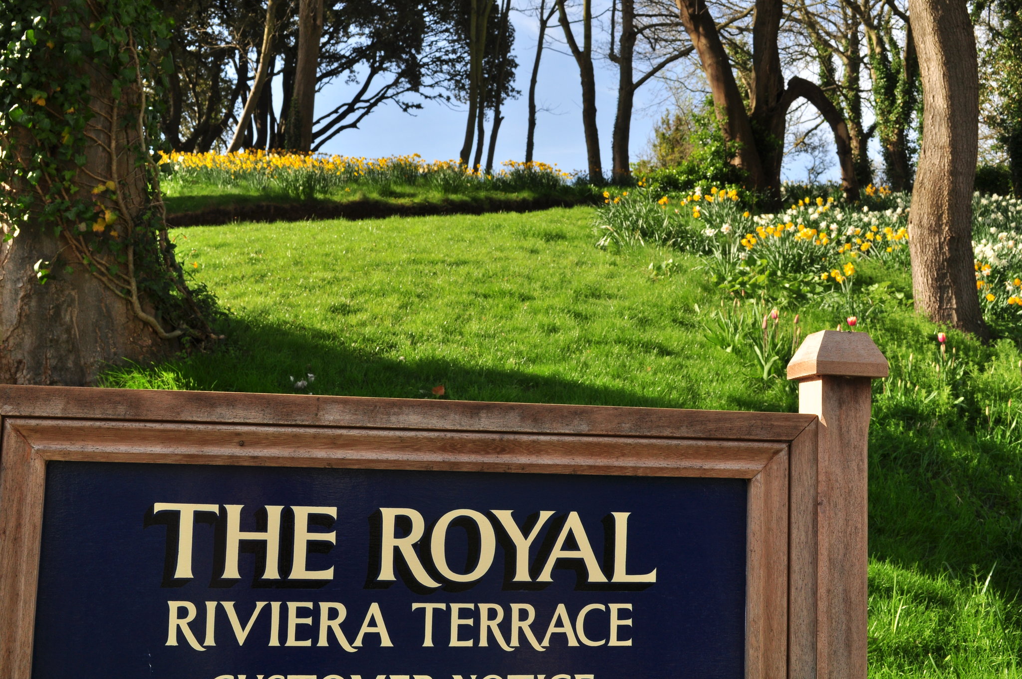 Riviera_Terrace_S