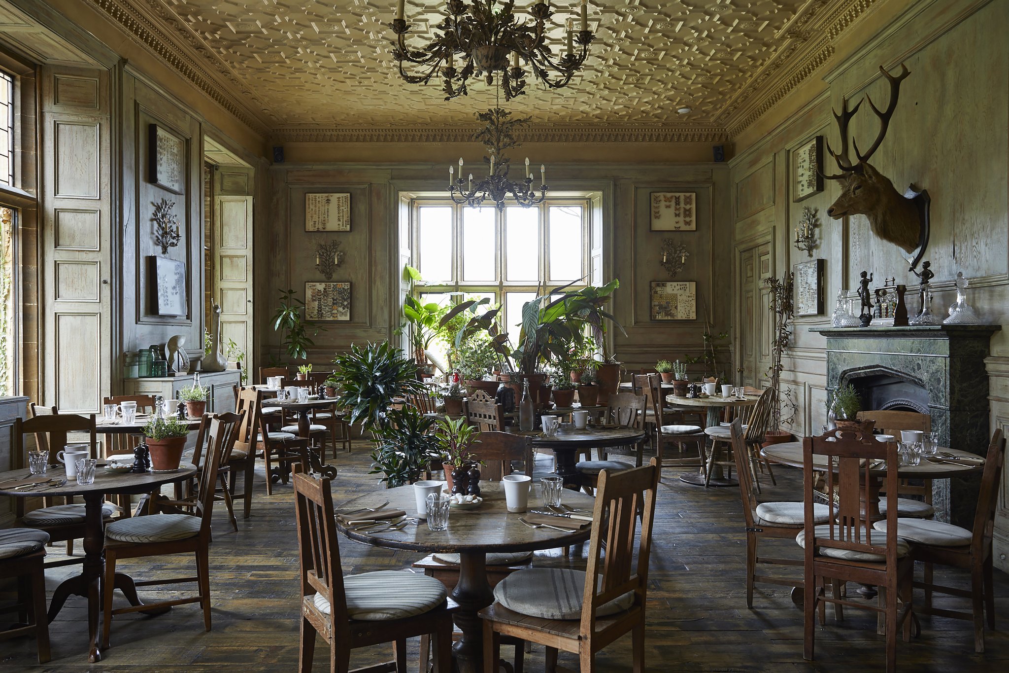Restaurant_S