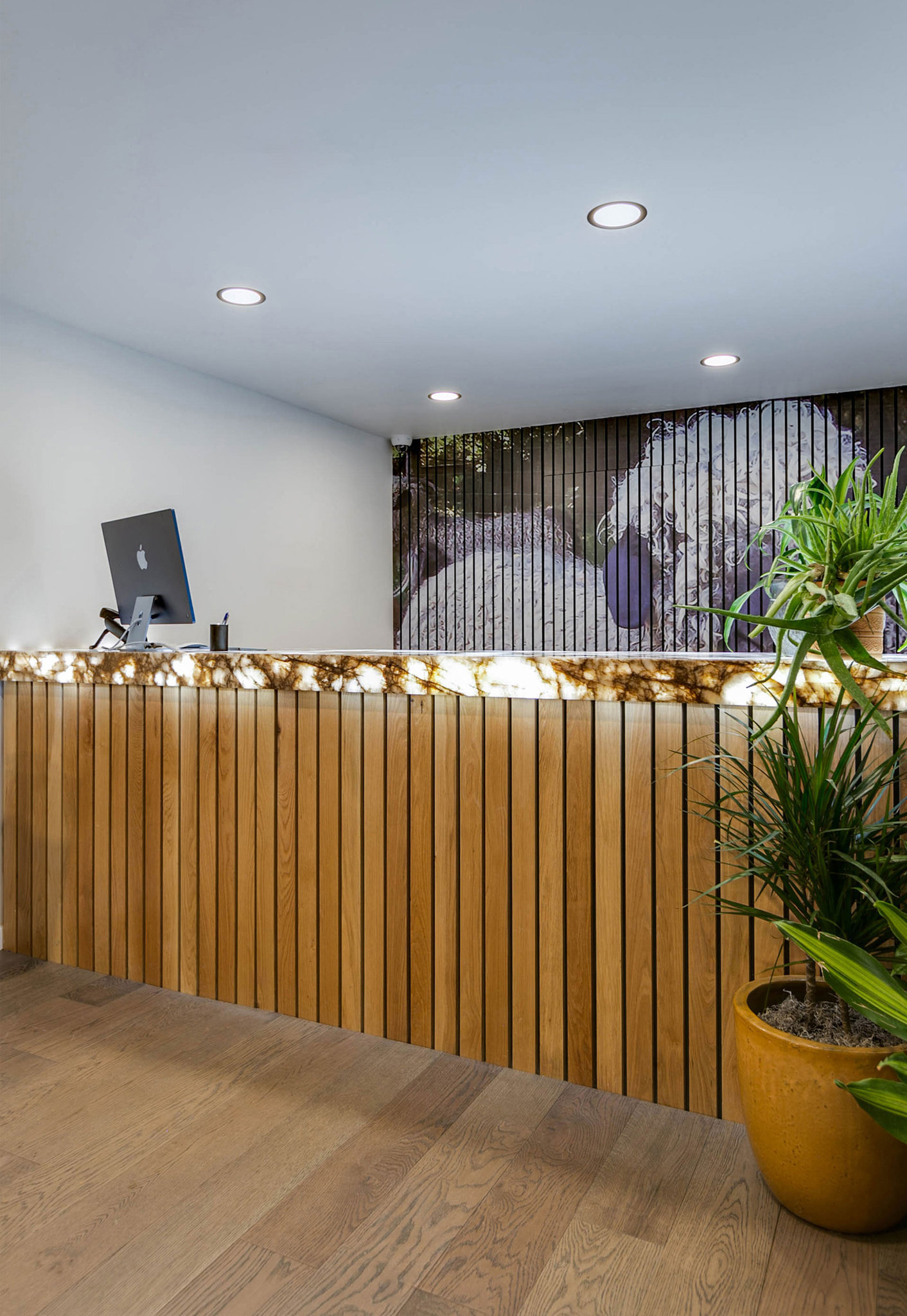 Reception2_S