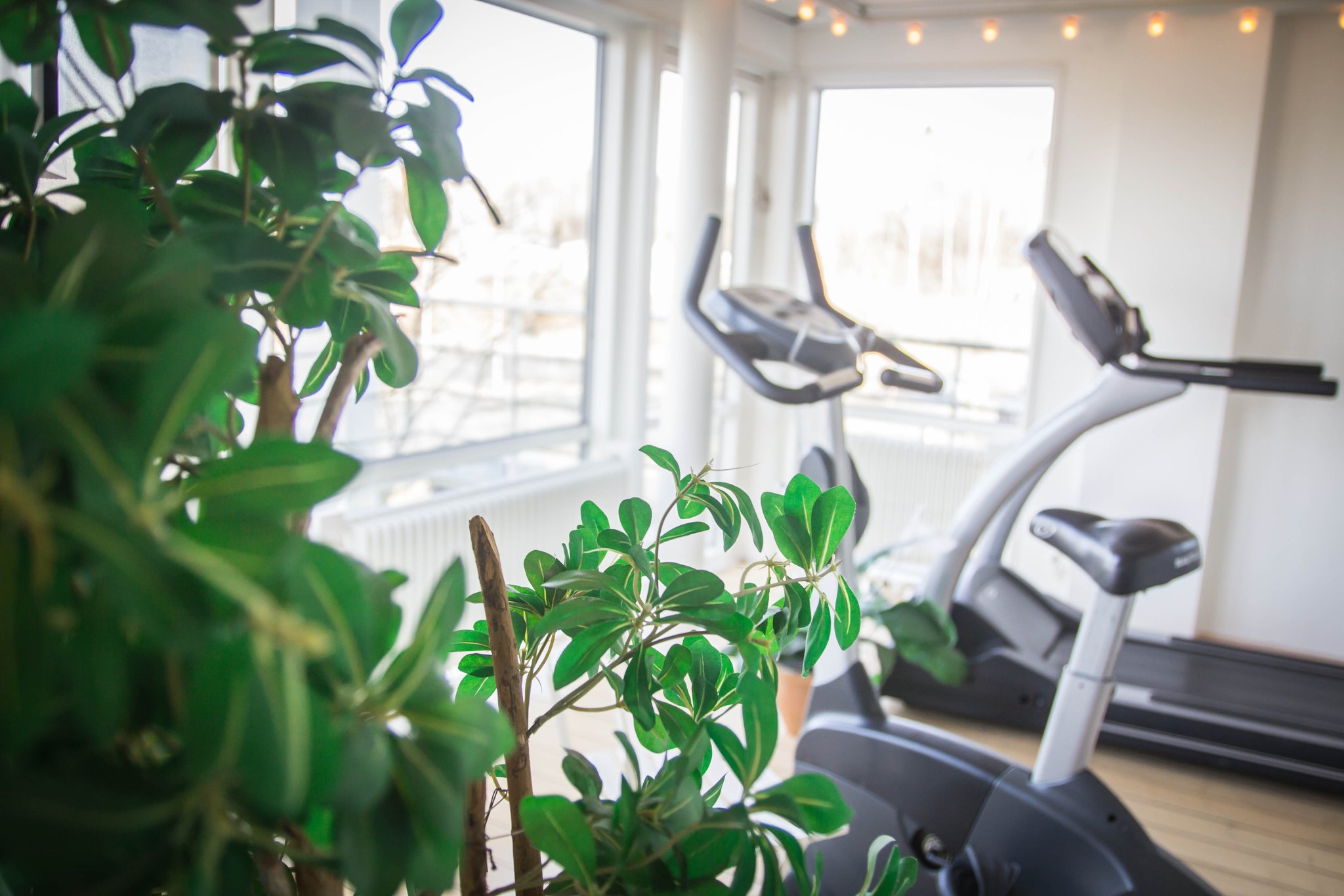 Gym-00_S