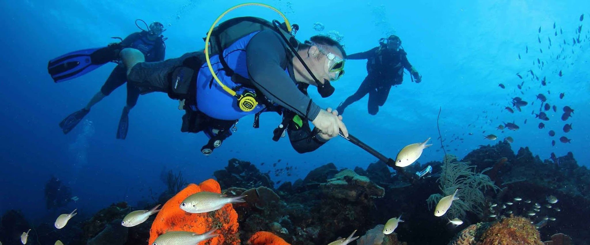 Tugboat_reef_S