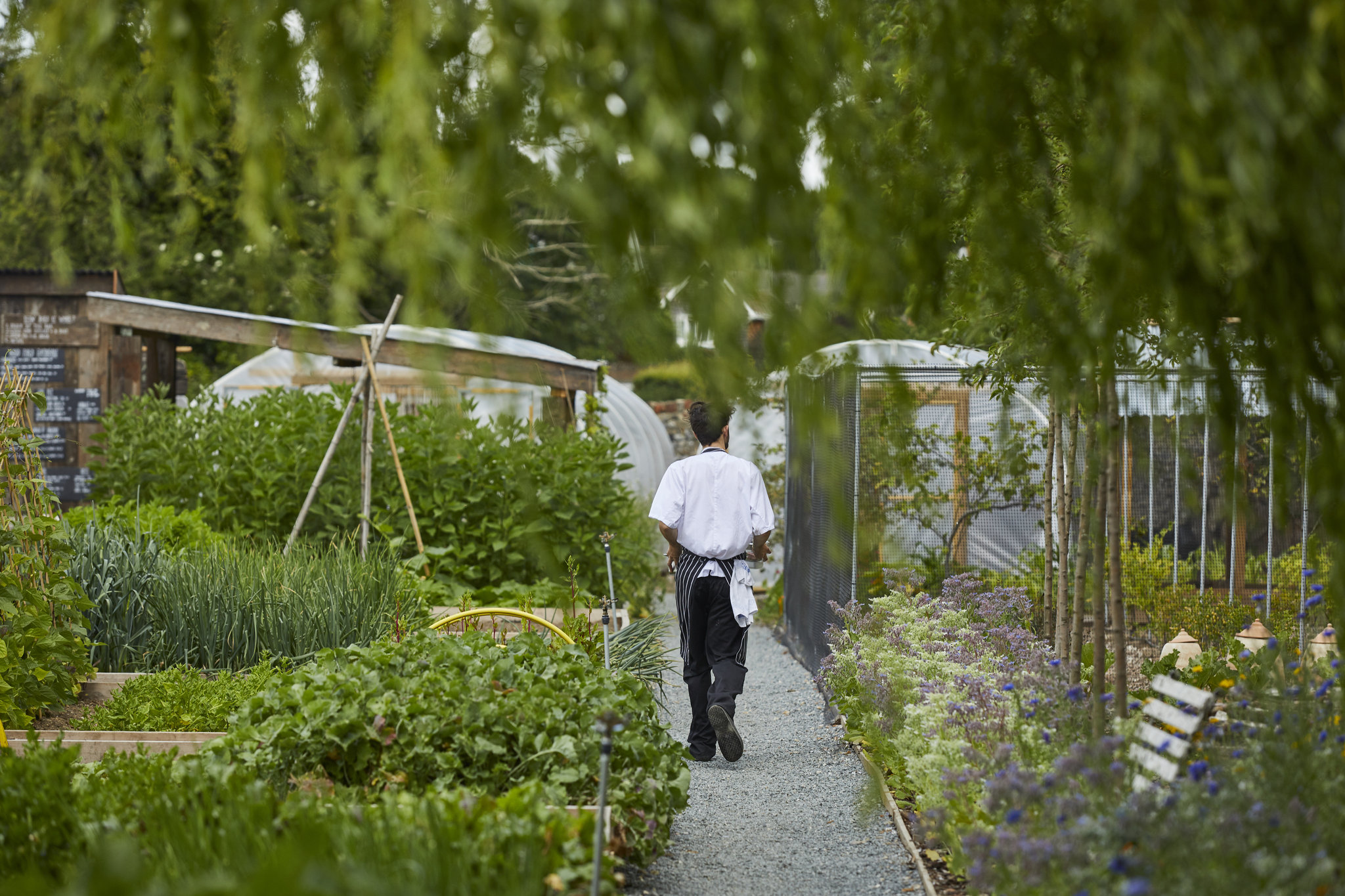 Kitchen_Garden_S