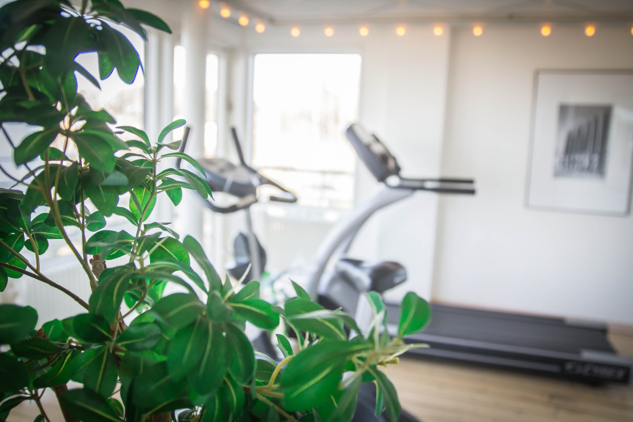 Gym-01_S