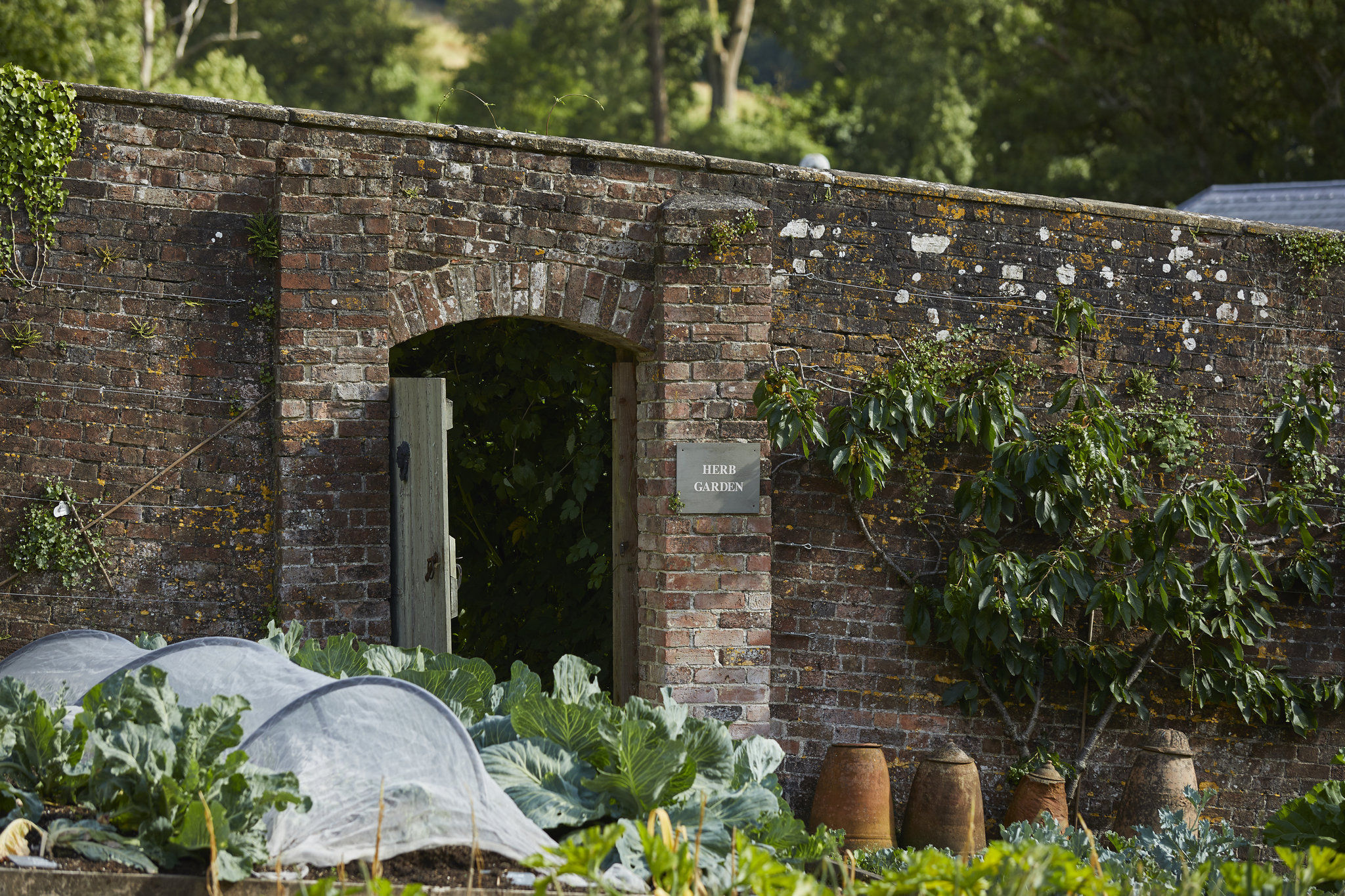 kitchen_garden_S