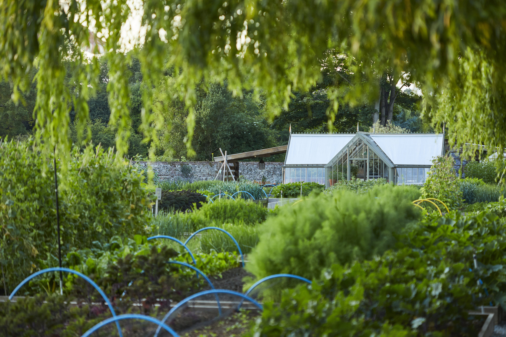 Kitchen_Garden_2_S