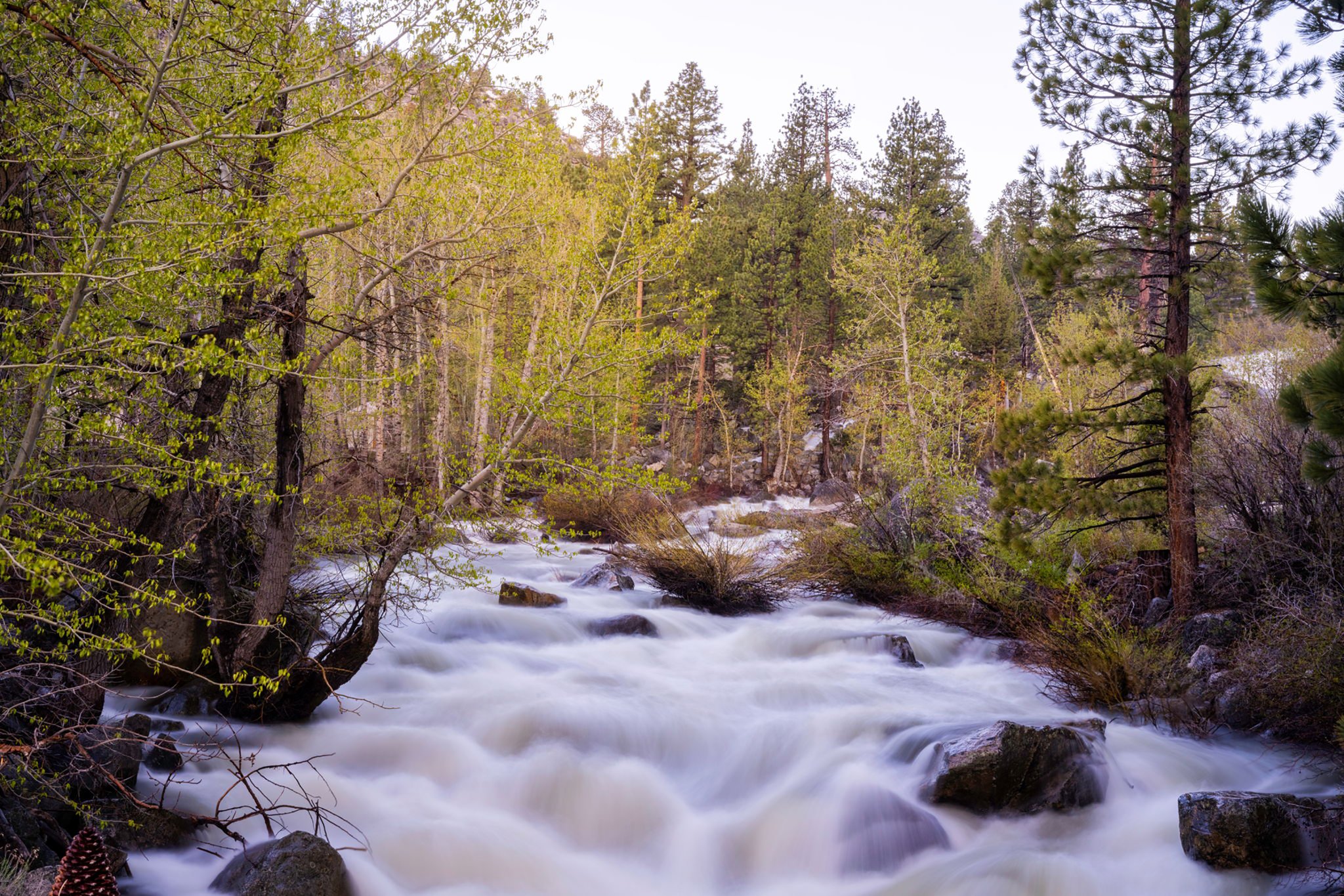 river_S