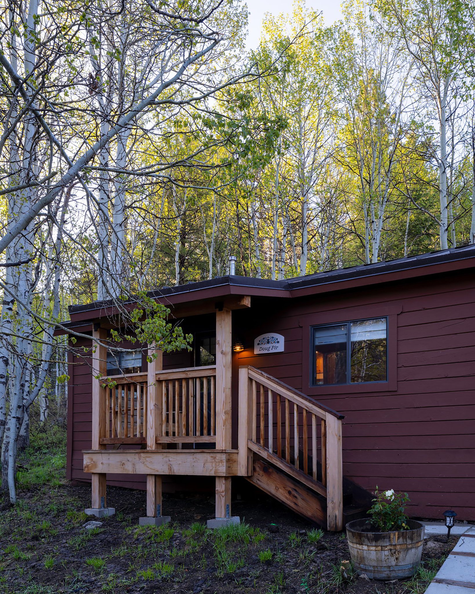 Dougfir_Outside_S