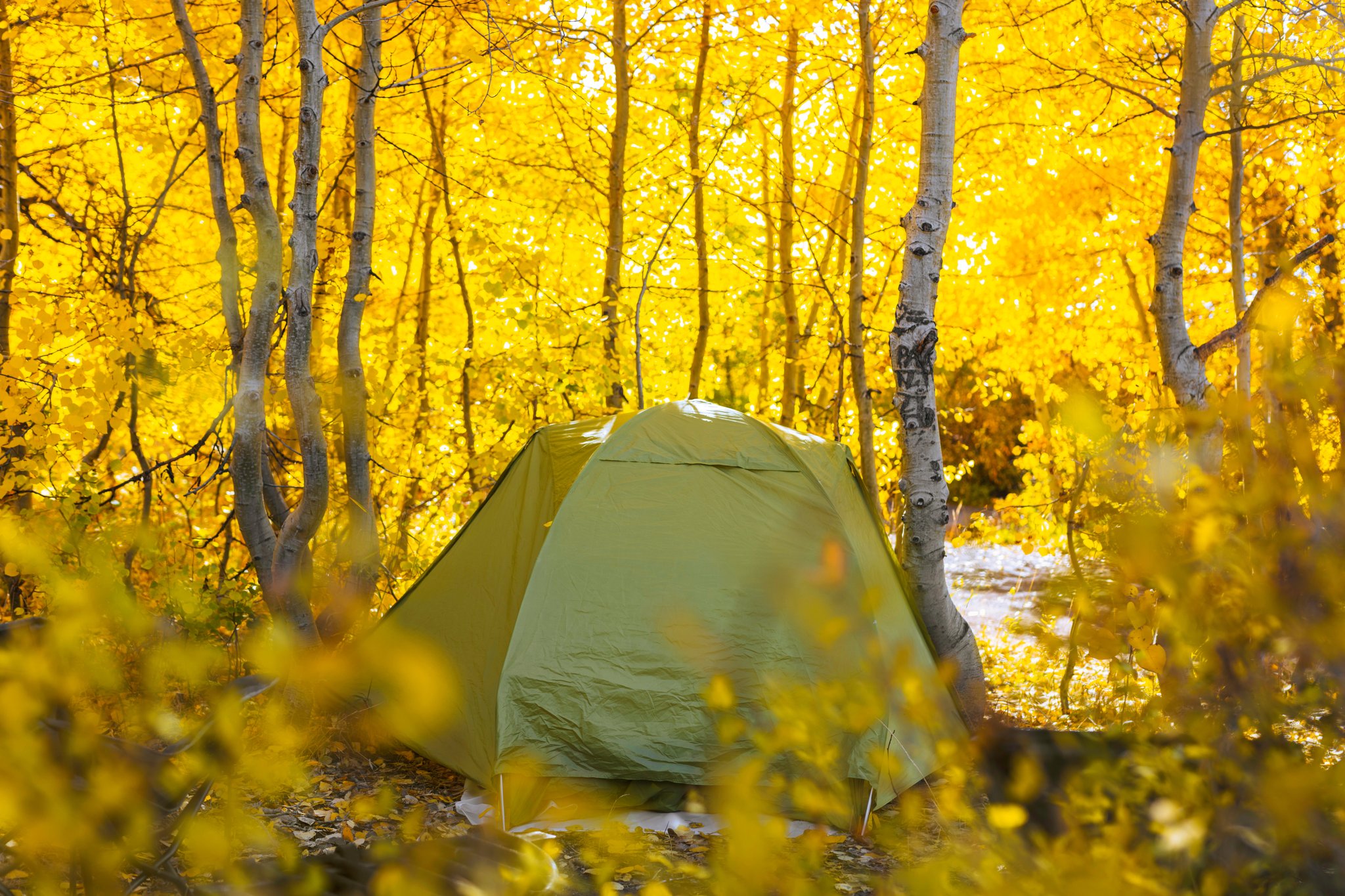 Tent_in_Aspens_S