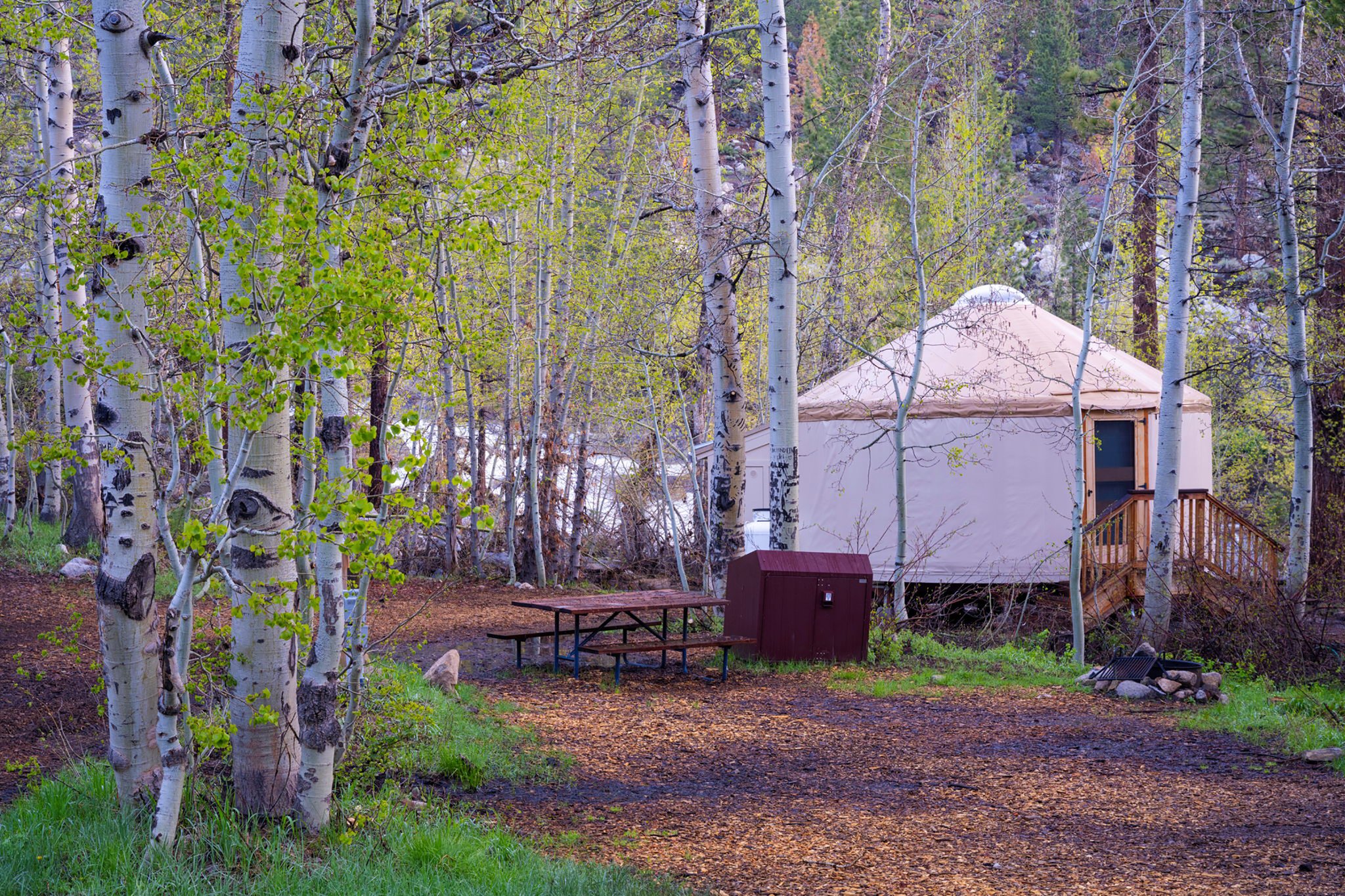 Yurt21_Outside_S
