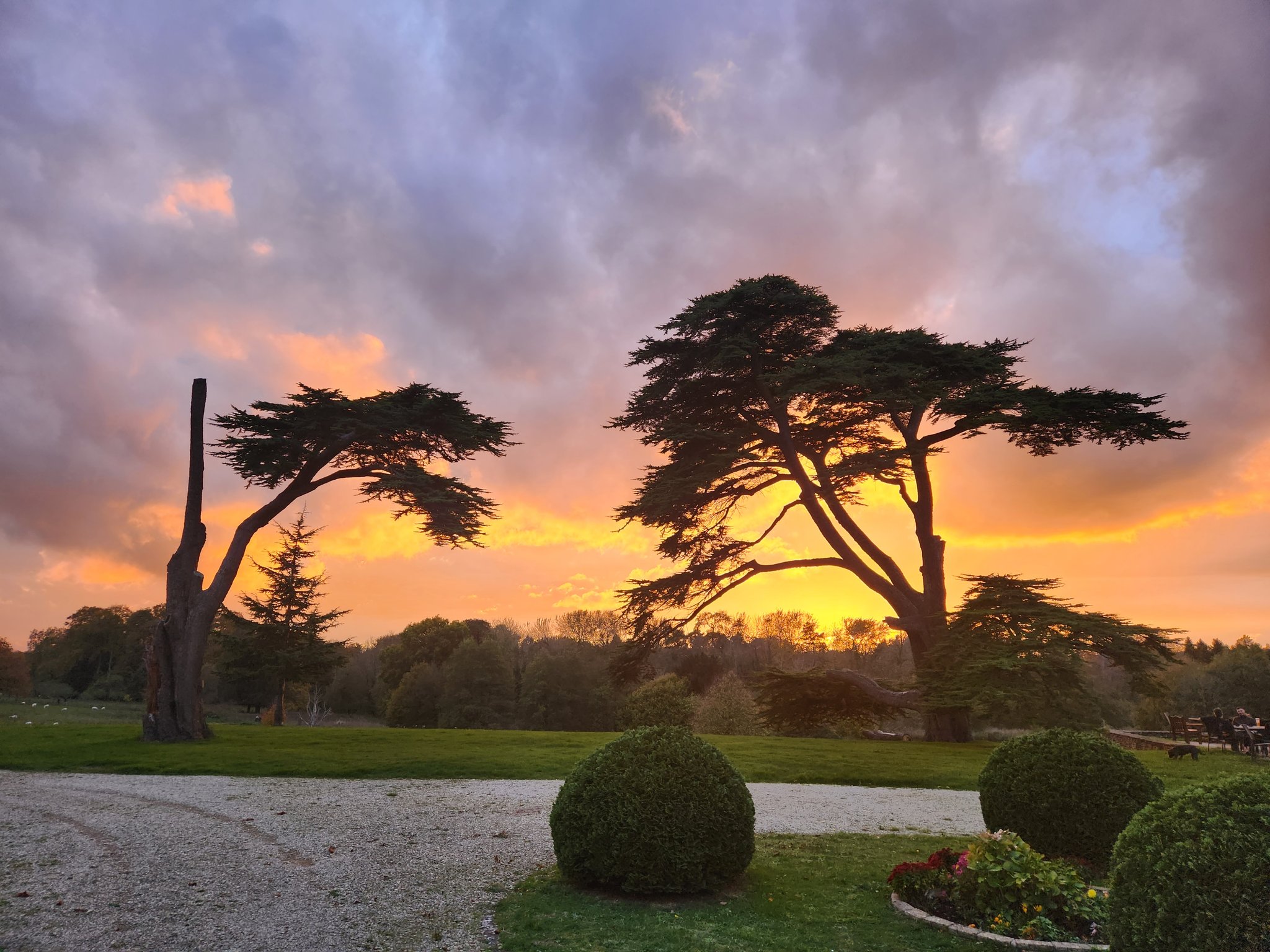 Gardens2_S
