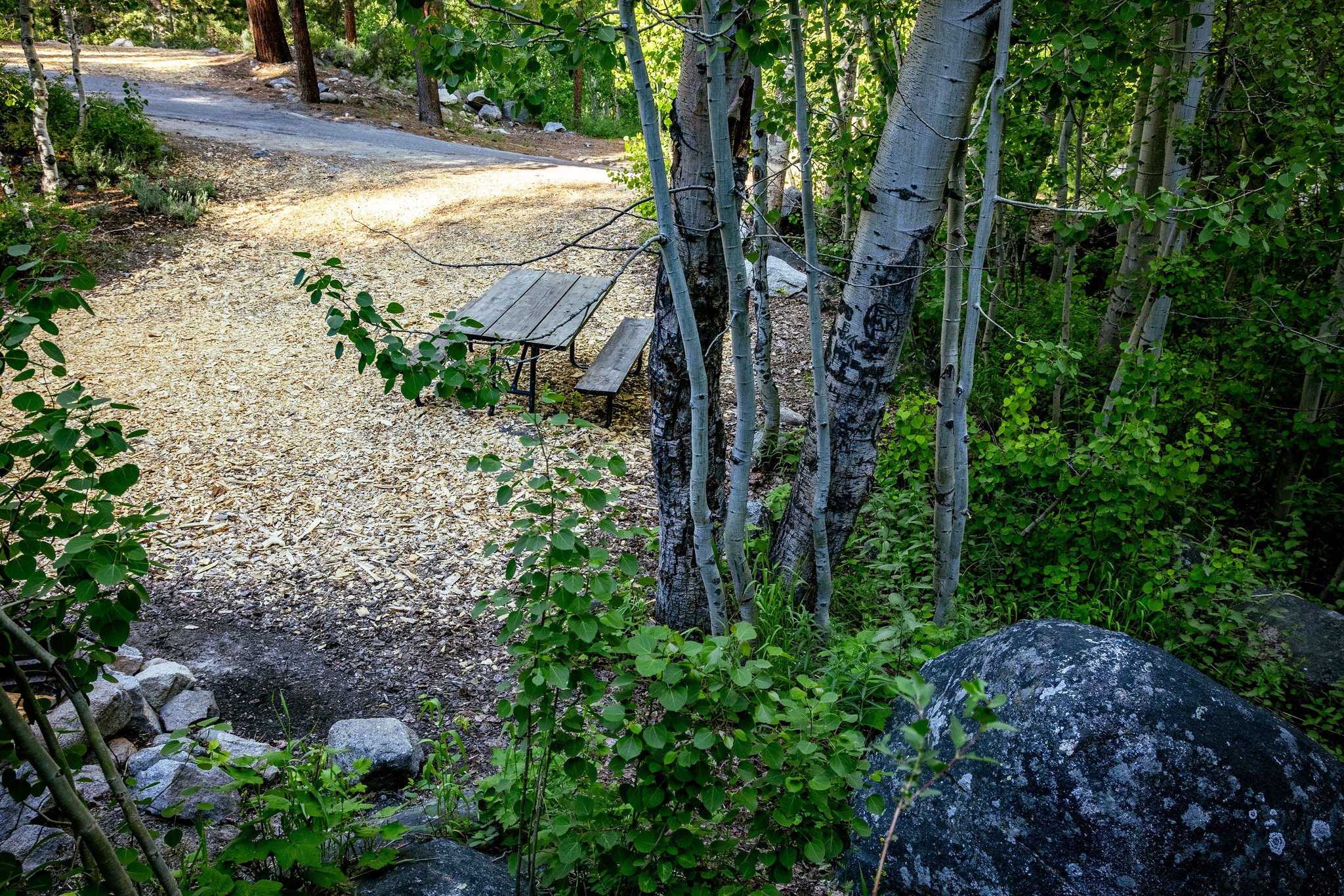 Campground_Site15_S