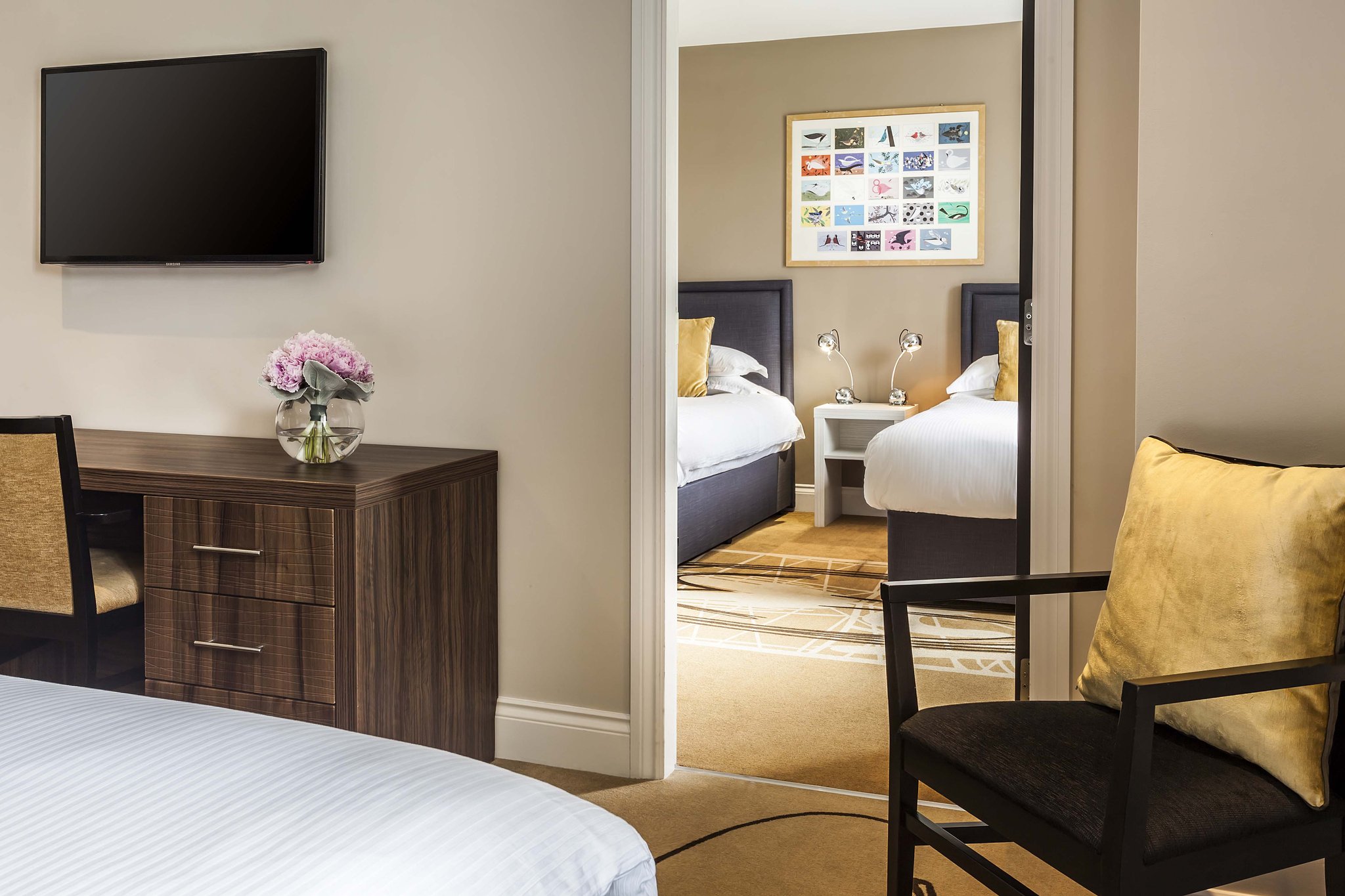 family_suite_S