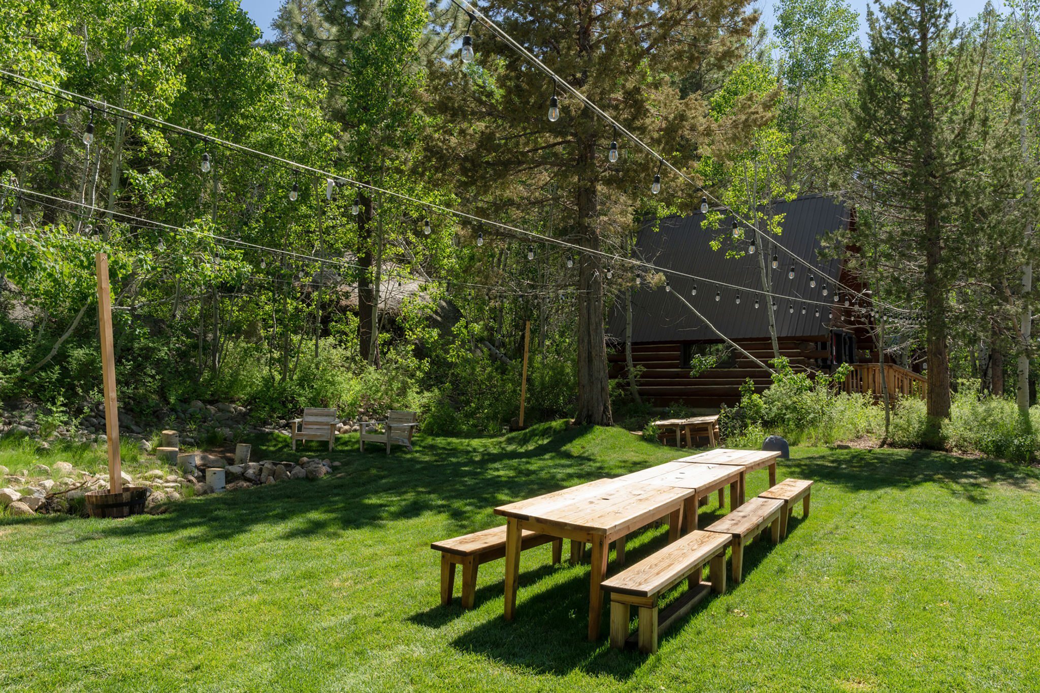 Aspen_Grove_daylight_S