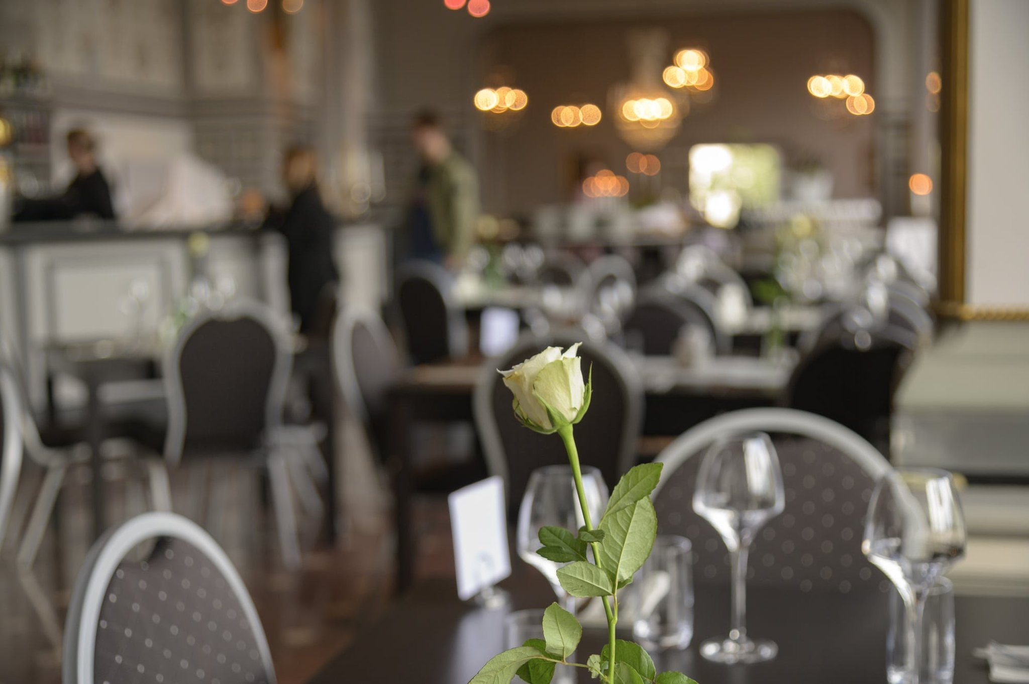 Restaurant-24_S