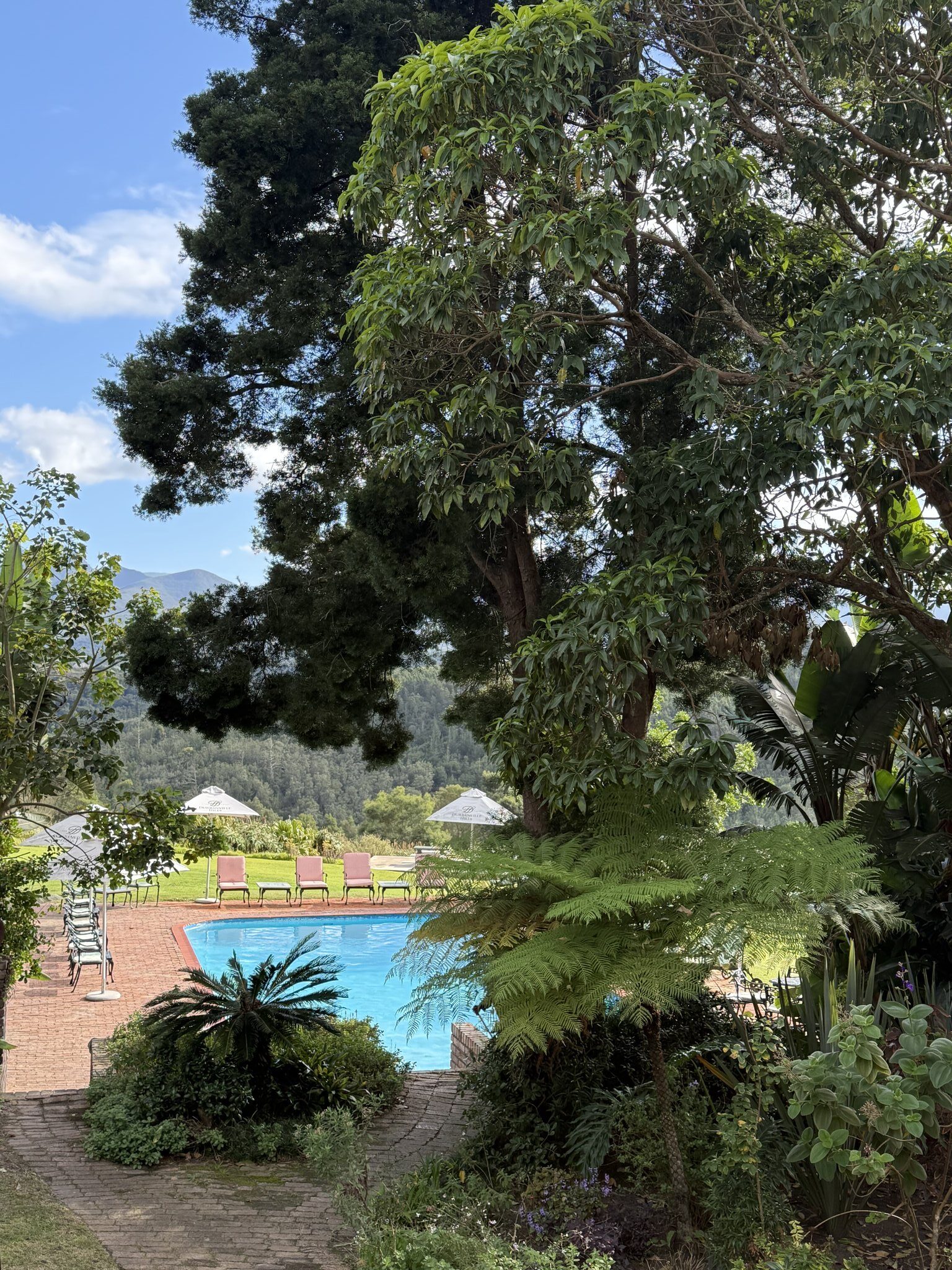 Pool-07_S