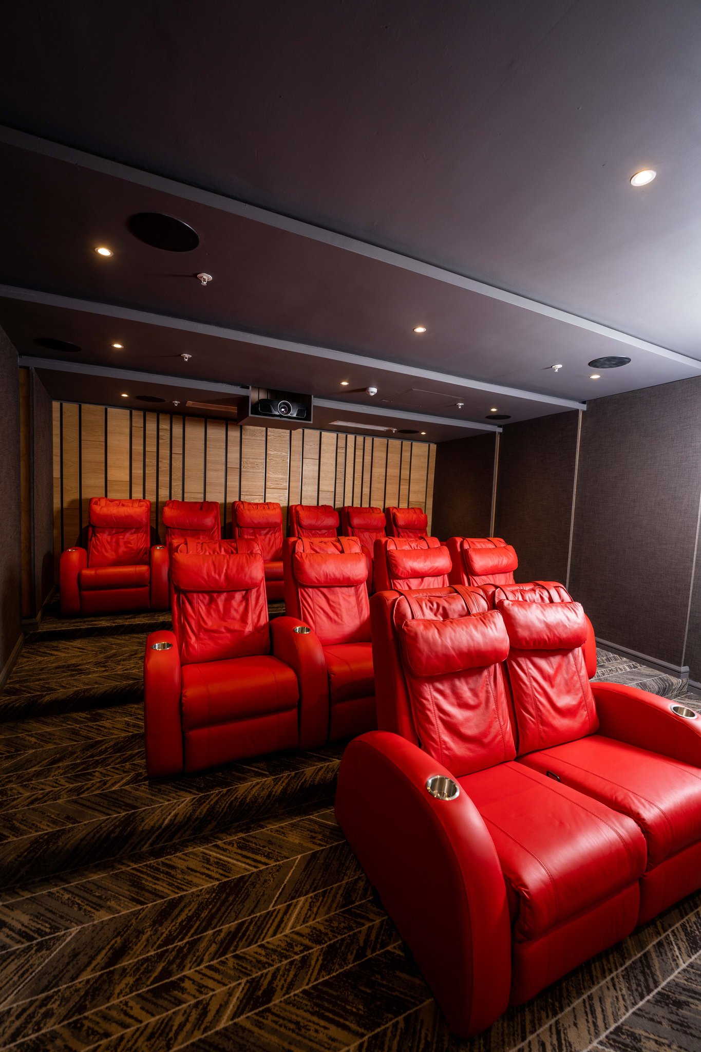 Cinema_Room-02_S