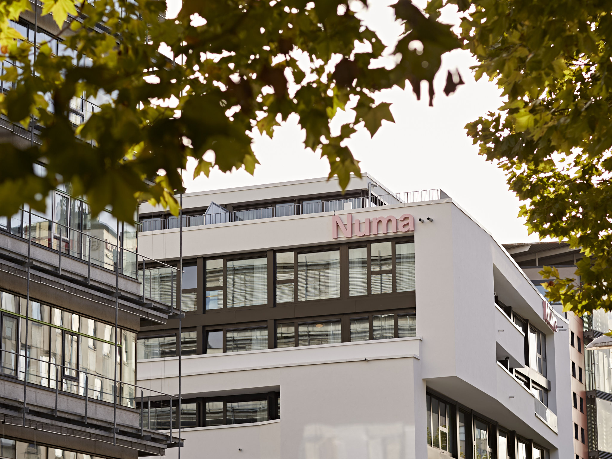 Copy_of_Exterior_239_S