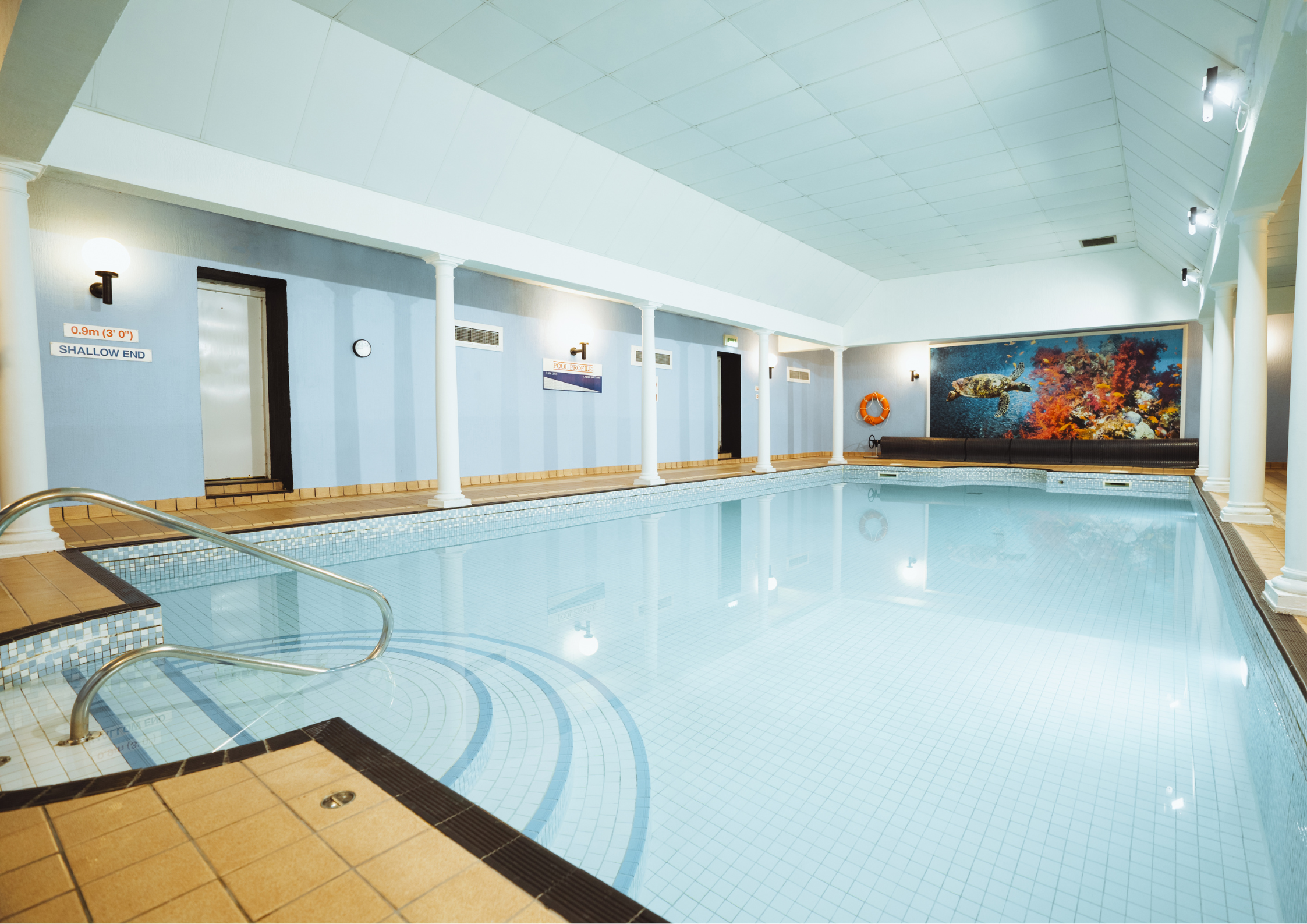 Untitled design (70)