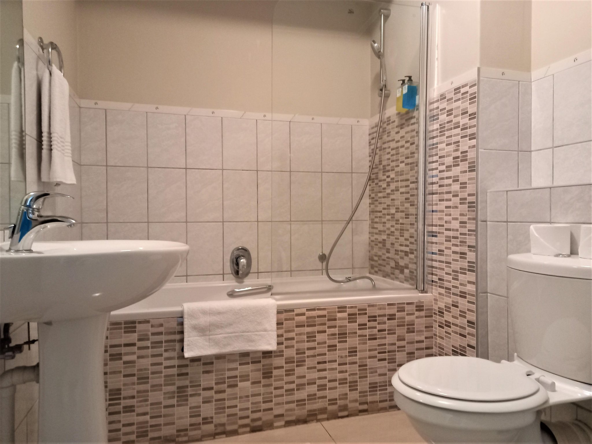 Three_Bedroom_Apartment_Bathroom_S