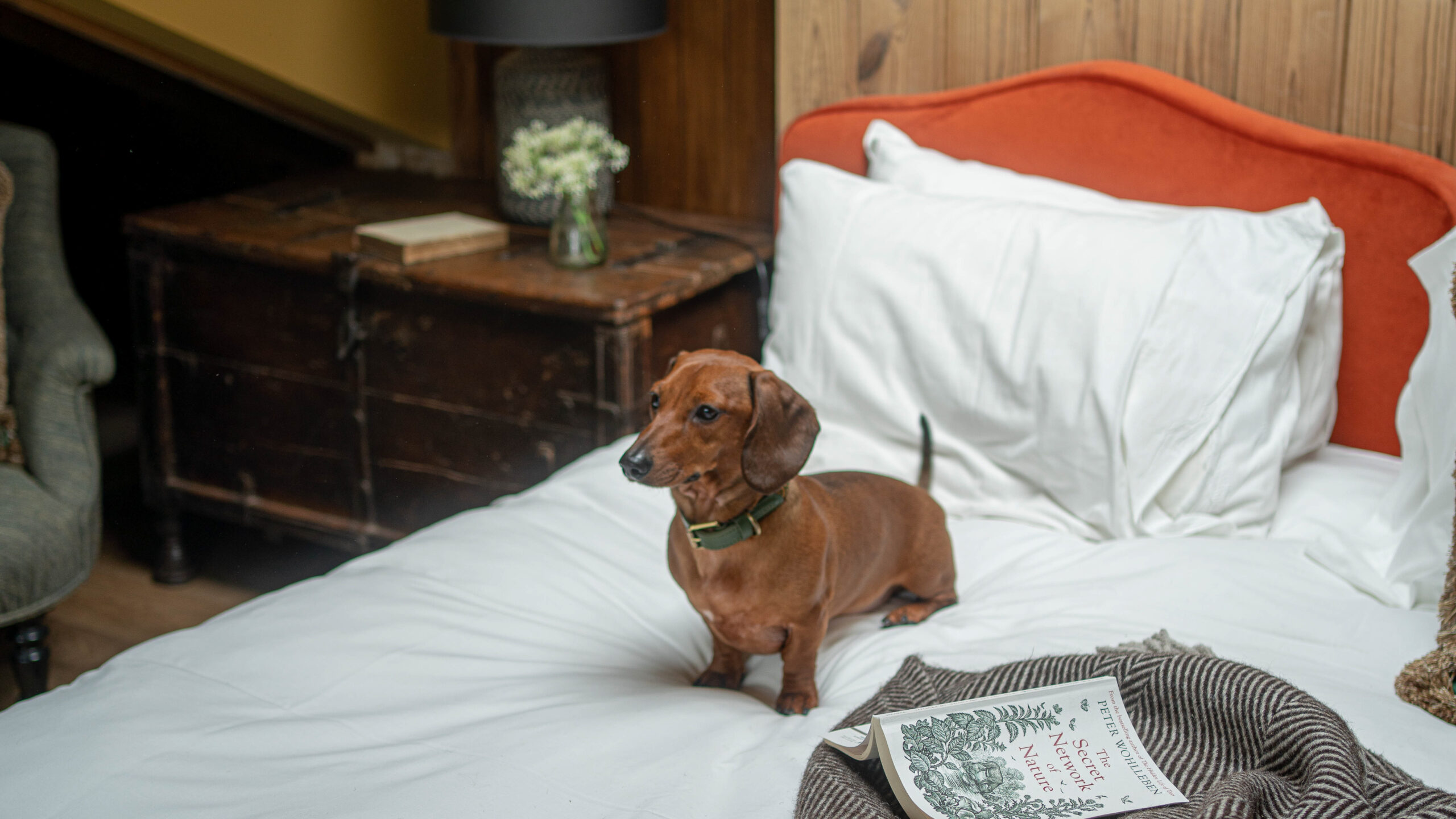 Lakes By Yoo May 2022-16