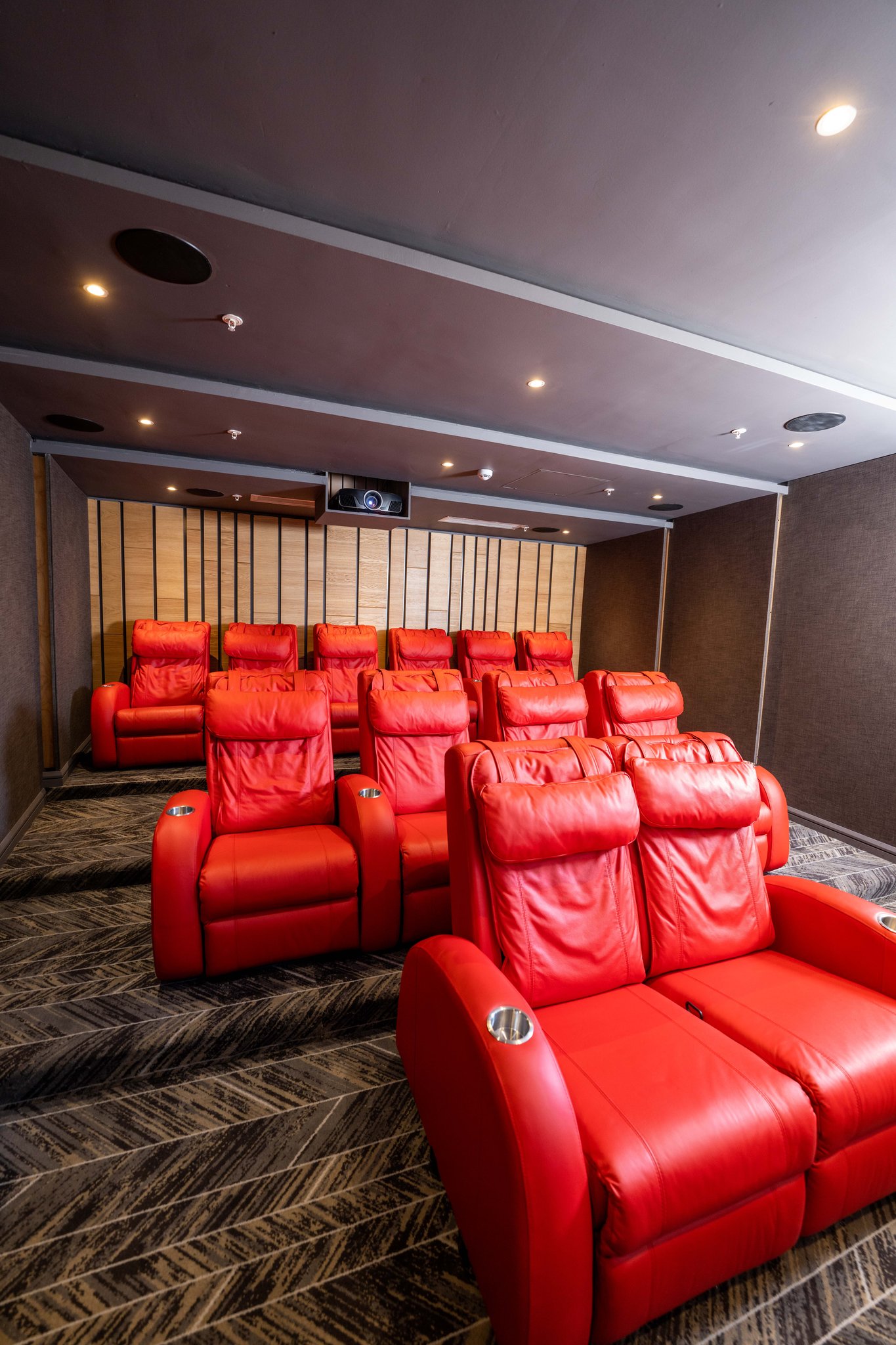 Cinema_Room-01_S