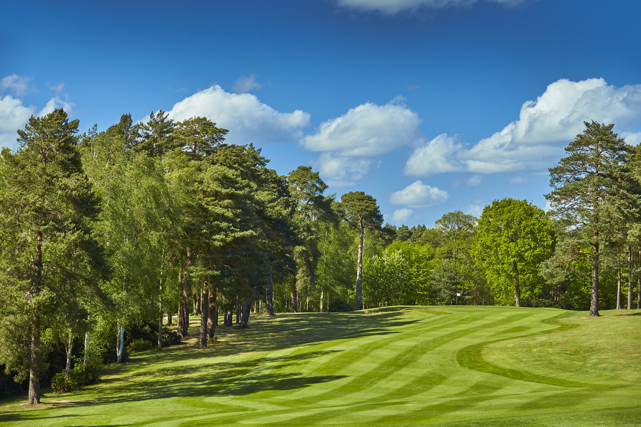 kFRAyO9r5kS913mokHDDfg_Bernard_Hunt_Golf_Course_S