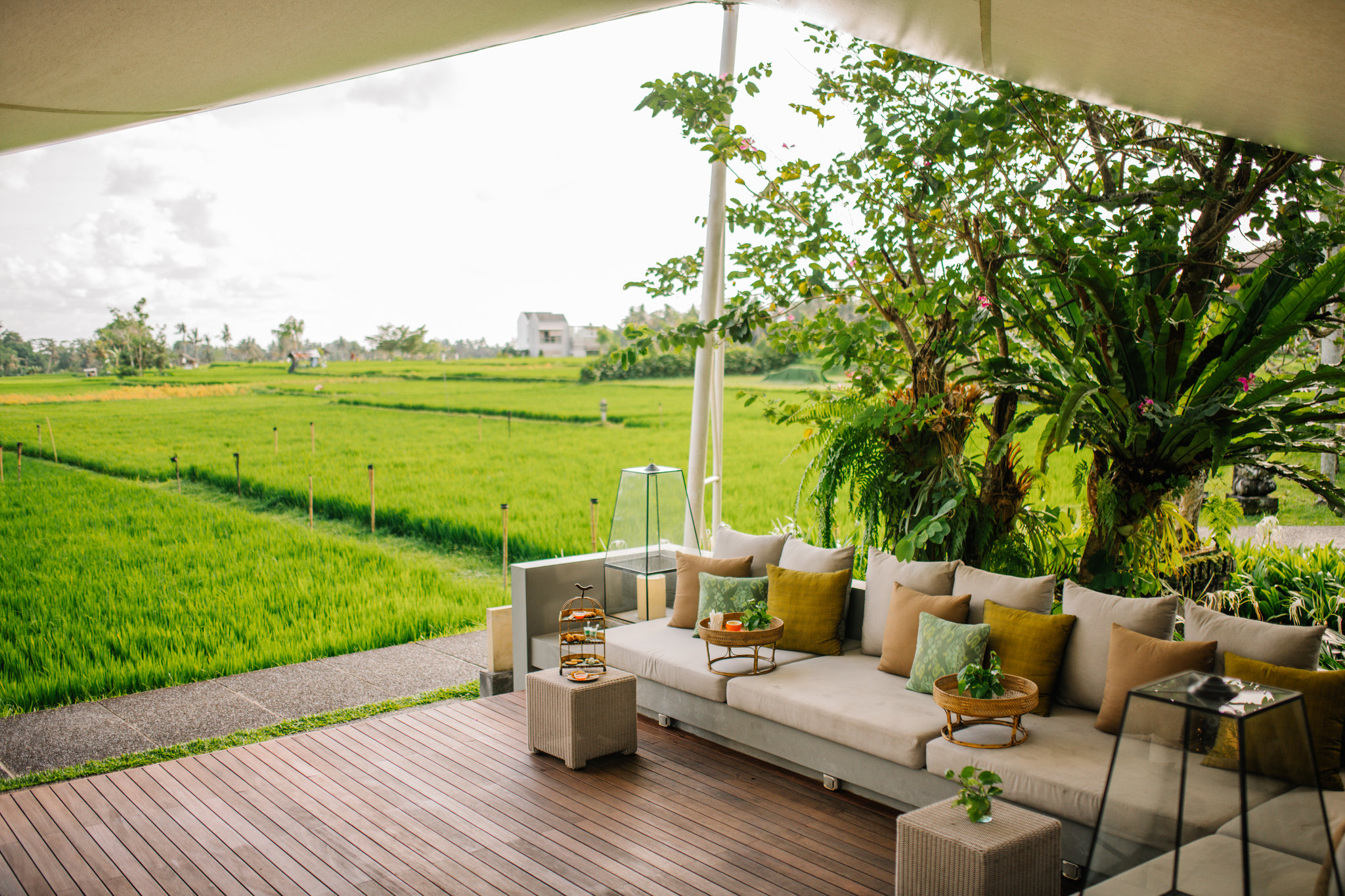 XQKgiesw3Uic2C4cTgC18A_Afternoon_tea_at_Panen_Padi_Lounge_S