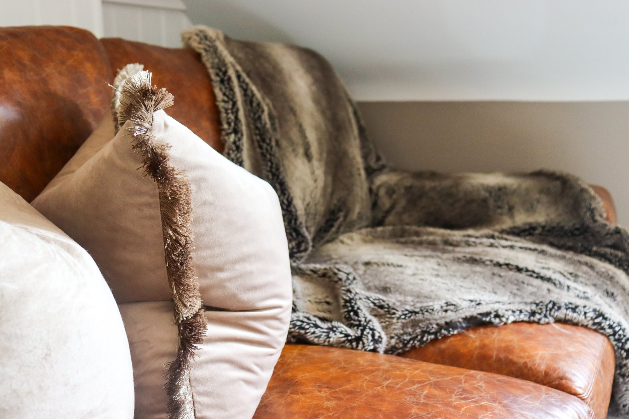 80ynFxz5BUeLGjBXQLJ3HA_Room_4_Pet_Friendly_Family_Room-22_S