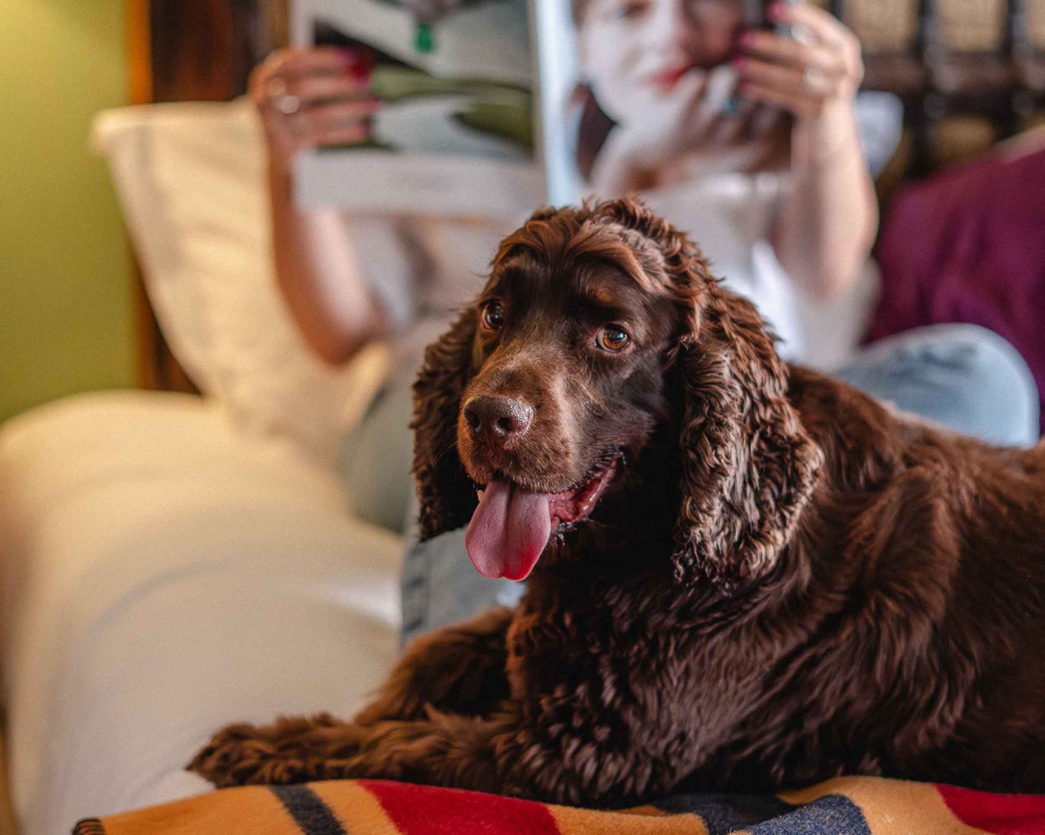 iKD1QTHvU6jPbM5I1ZWlw_The_Zetter_Clerkenwell_and_Marylebo_S