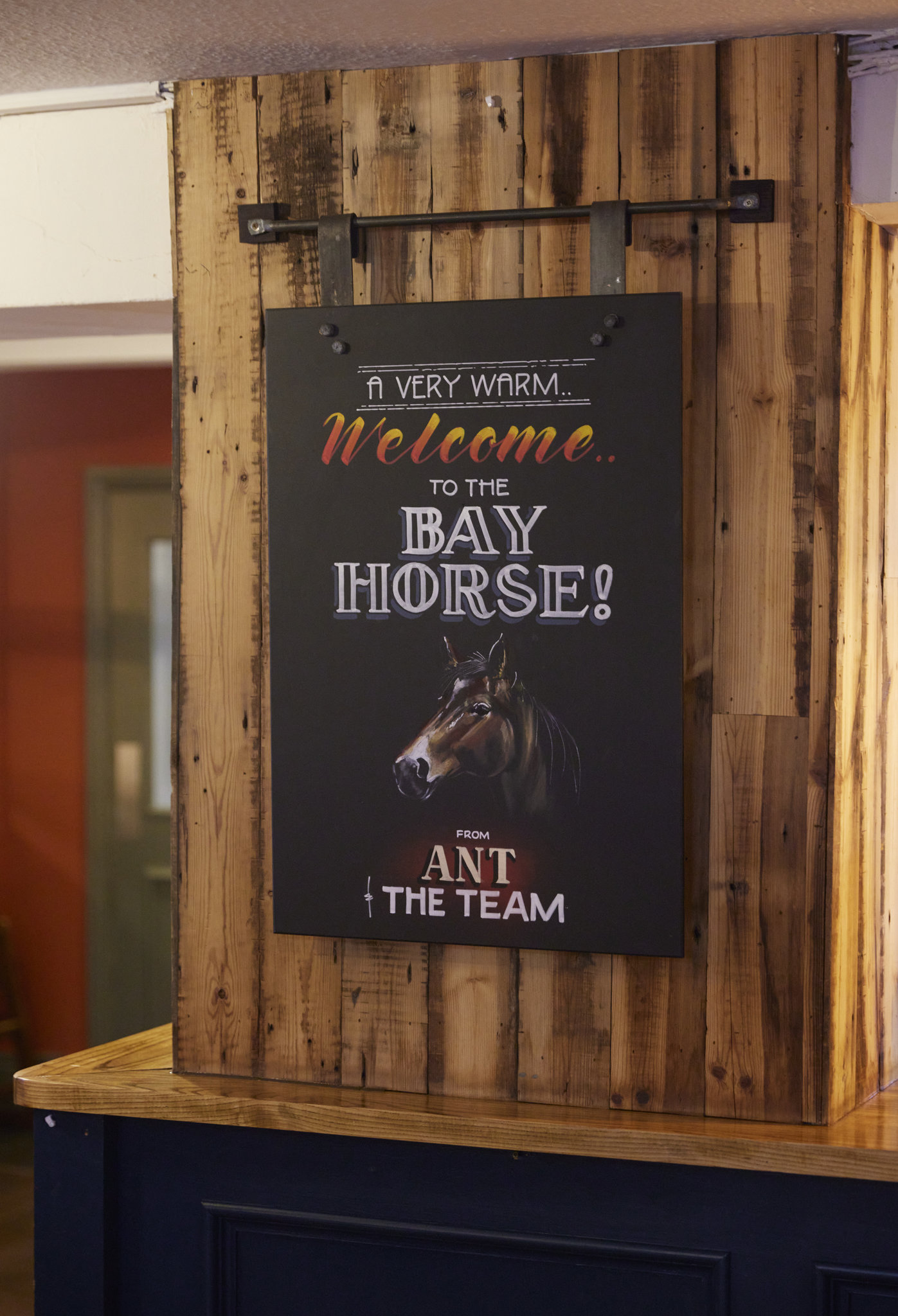 Bay_Horse_005_S